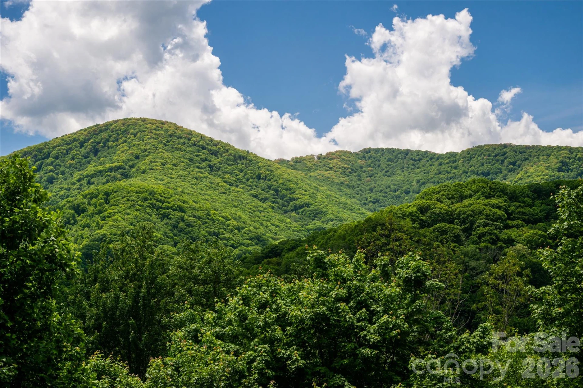14 Marlin Trail - Photo 23