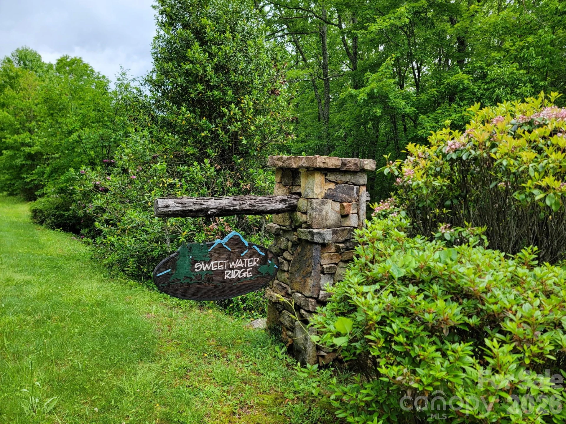 TBD Sweetwater Ridge Road #1 - Photo 2
