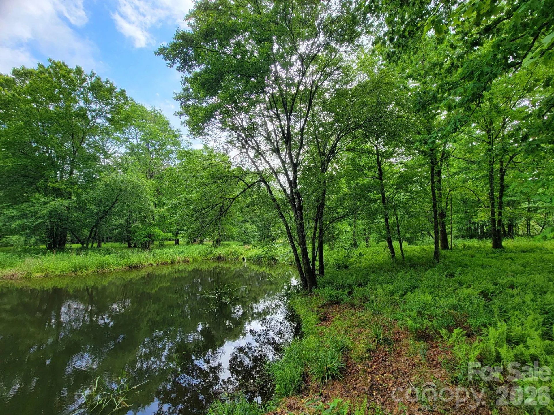 TBD Sweetwater Ridge Road #1 - Photo 11