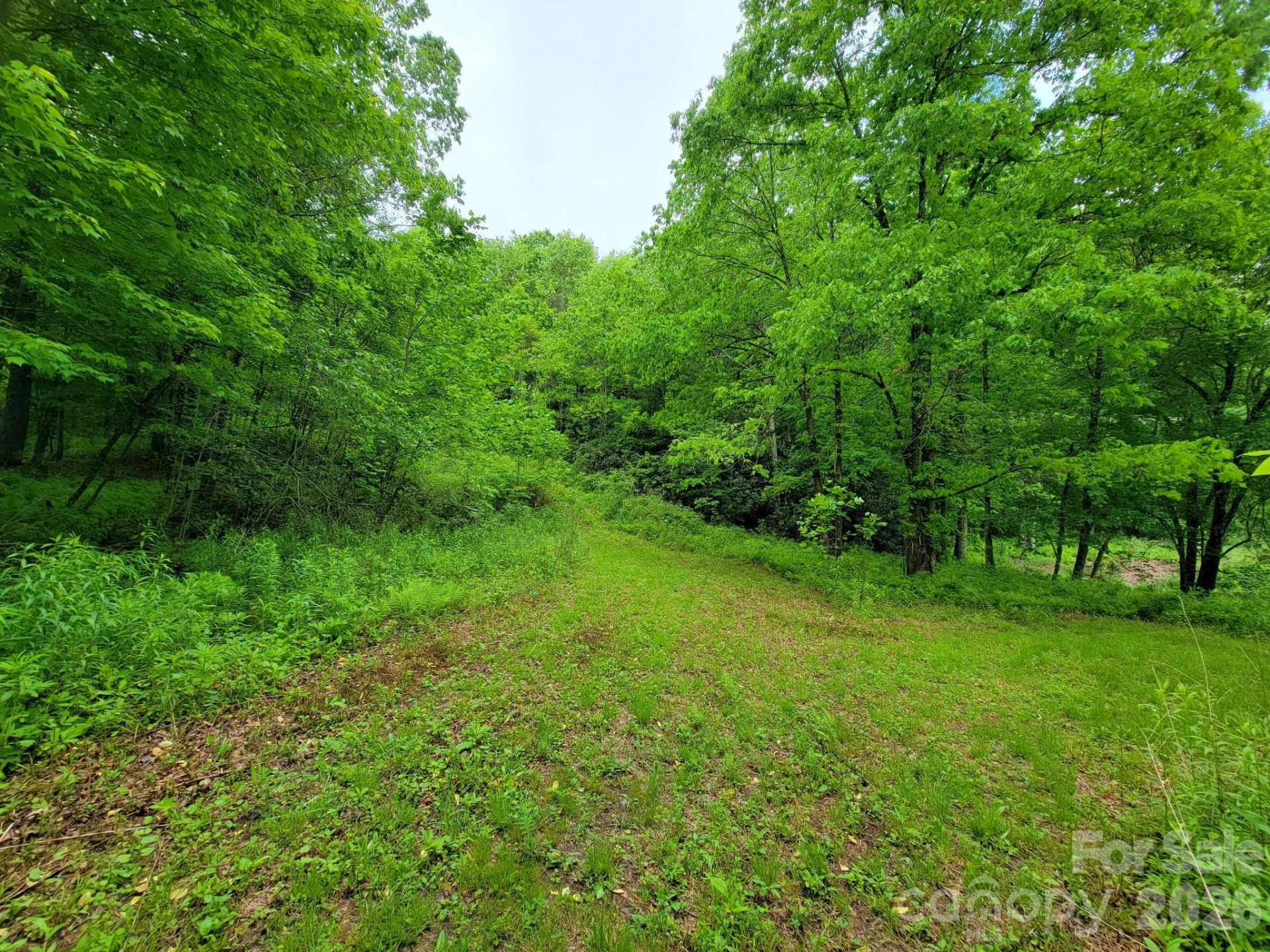 TBD Sweetwater Ridge Road #1 - Photo 12