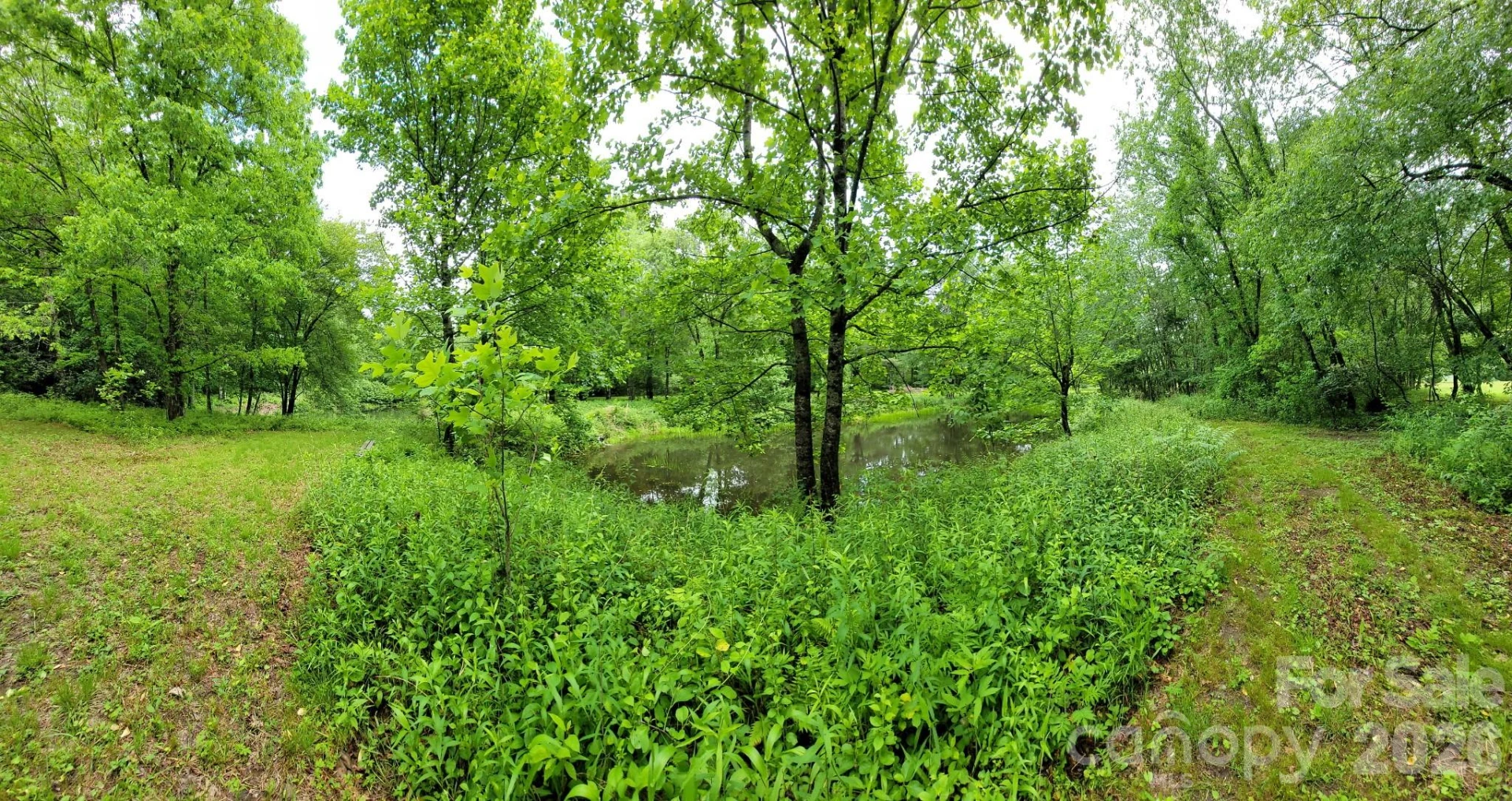 TBD Sweetwater Ridge Road #1 - Photo 13