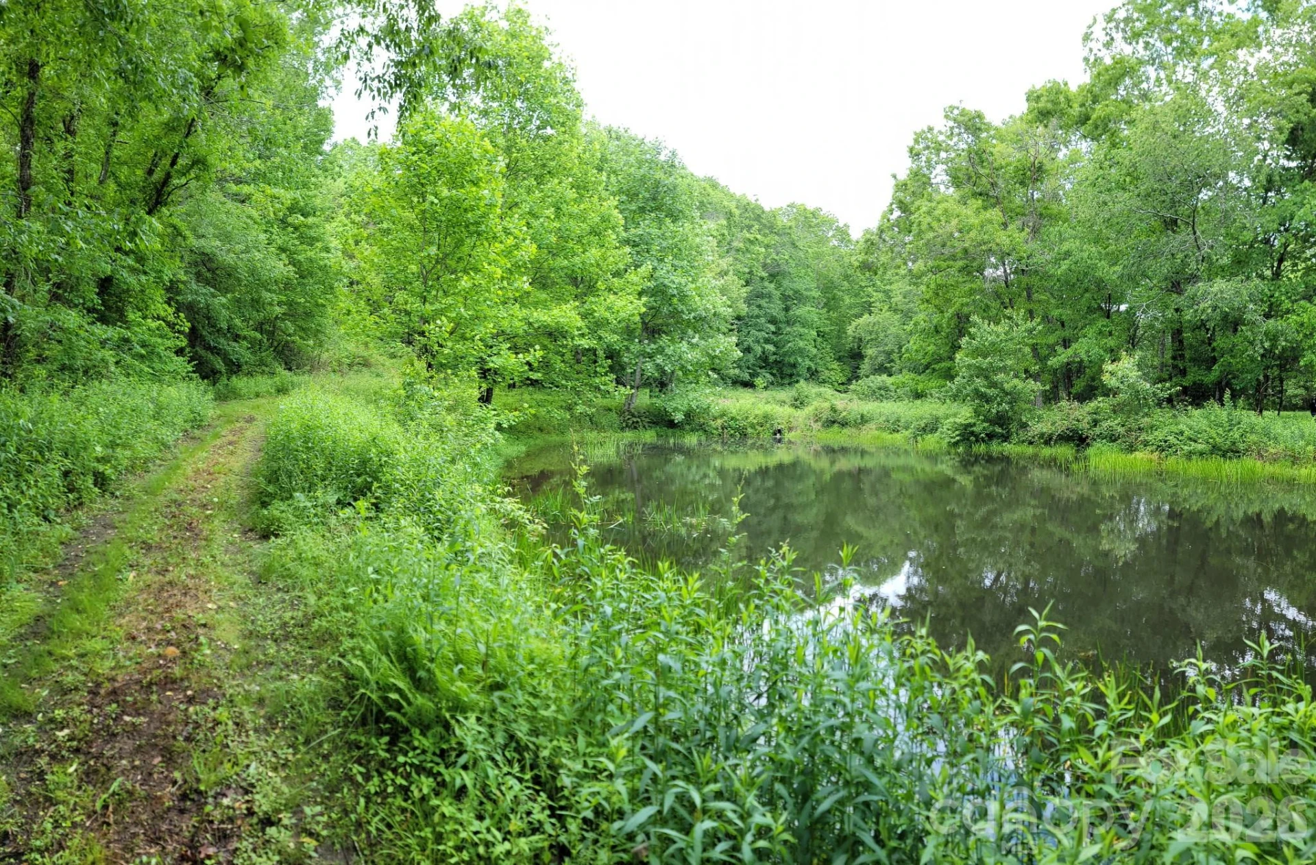 TBD Sweetwater Ridge Road #1 - Photo 14