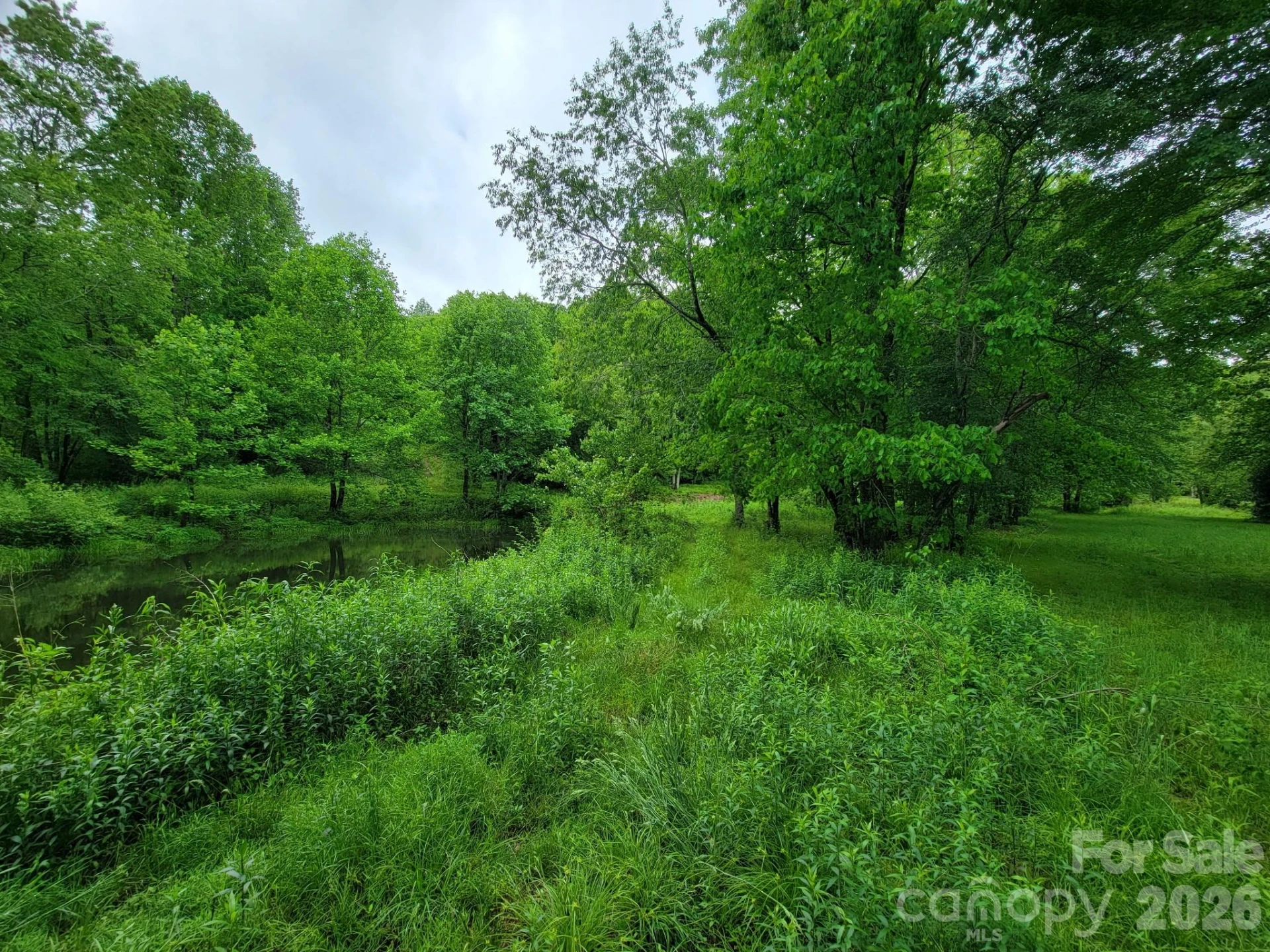 TBD Sweetwater Ridge Road #1 - Photo 15