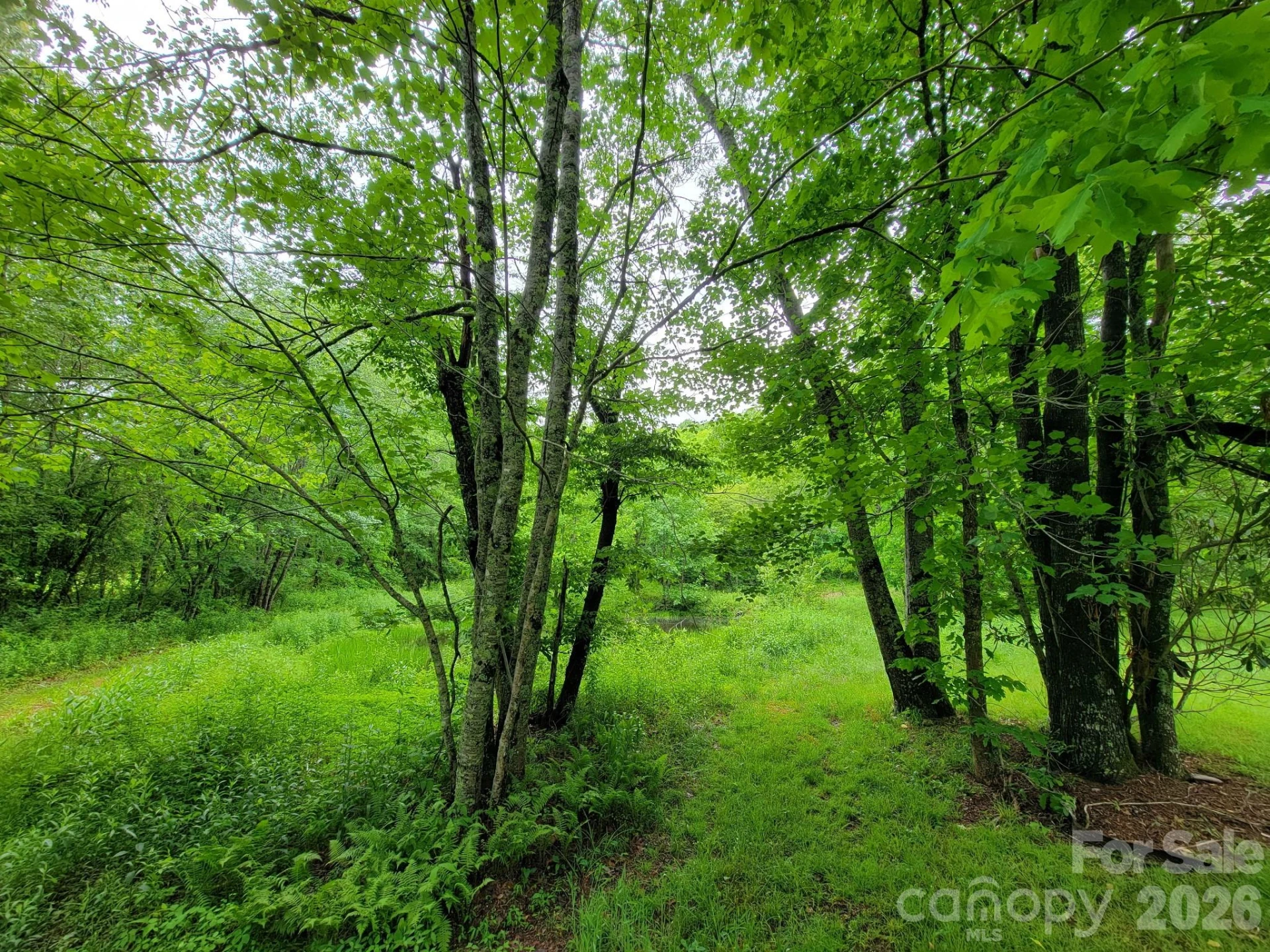 TBD Sweetwater Ridge Road #1 - Photo 16