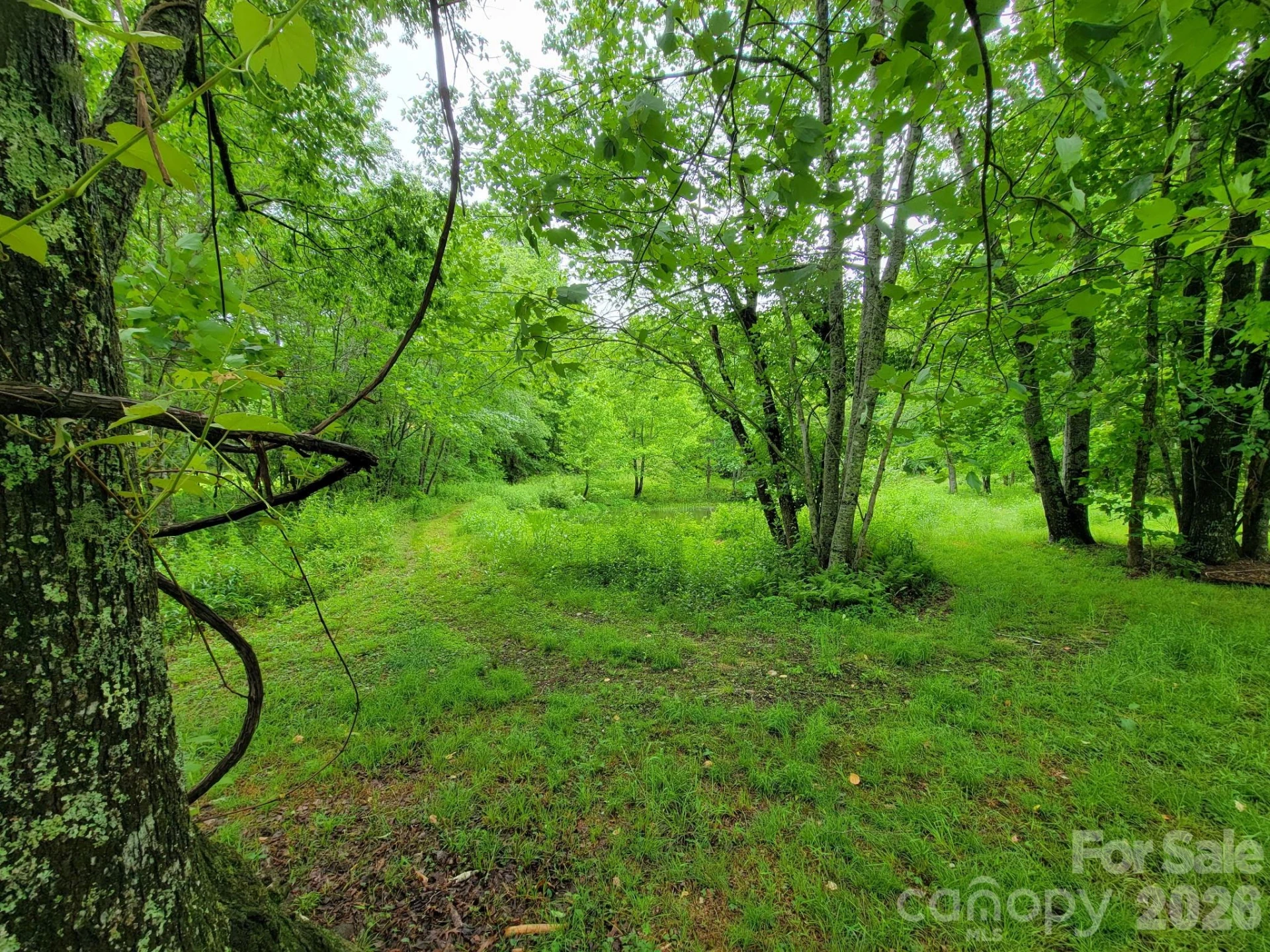 TBD Sweetwater Ridge Road #1 - Photo 17