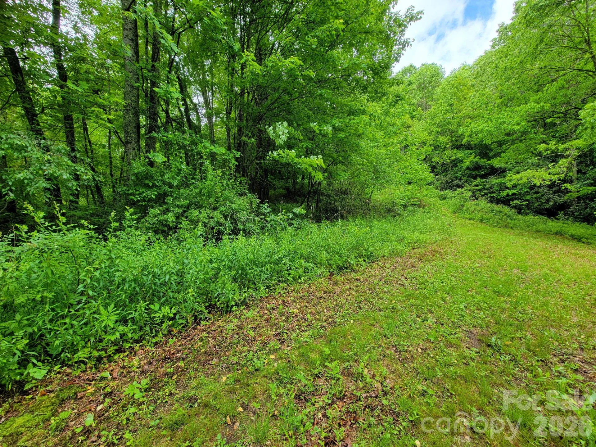 TBD Sweetwater Ridge Road #1 - Photo 18