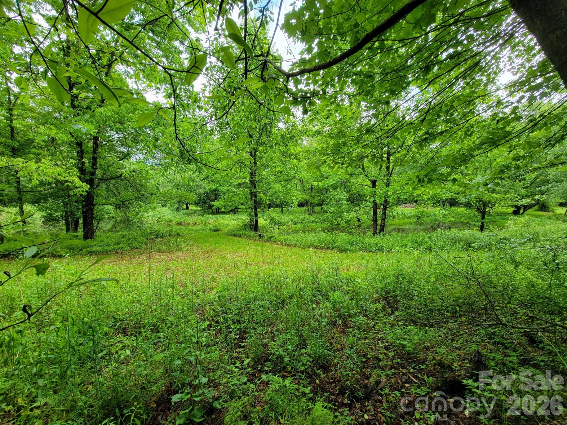 TBD Sweetwater Ridge Road #1 - Photo 19