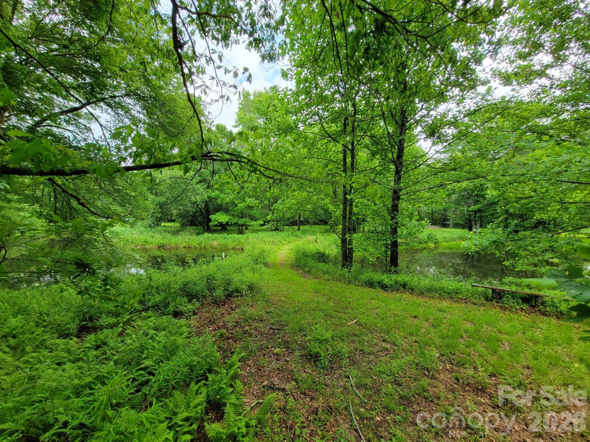 TBD Sweetwater Ridge Road #1 - Photo 20