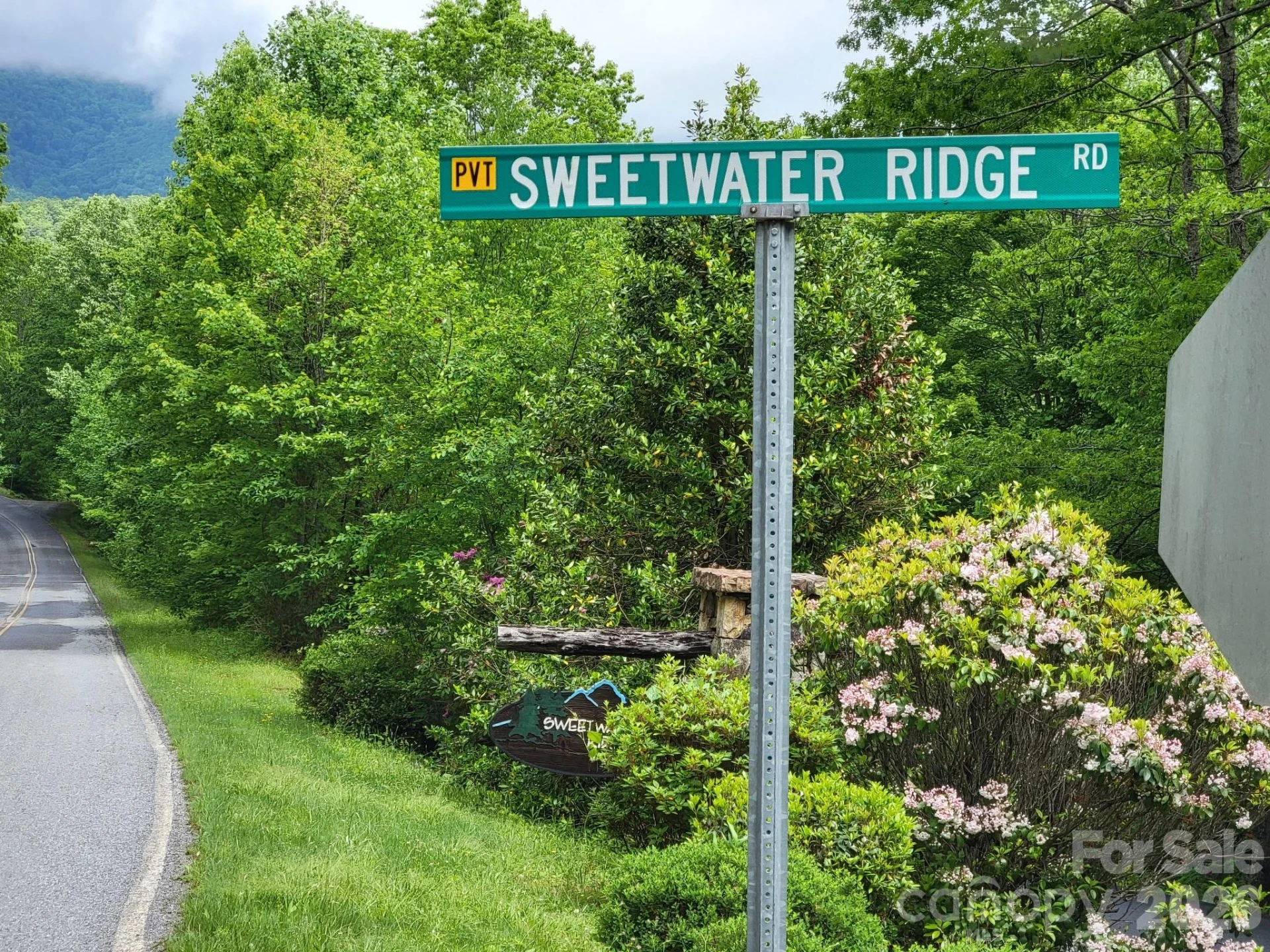 TBD Sweetwater Ridge Road #1 - Photo 3