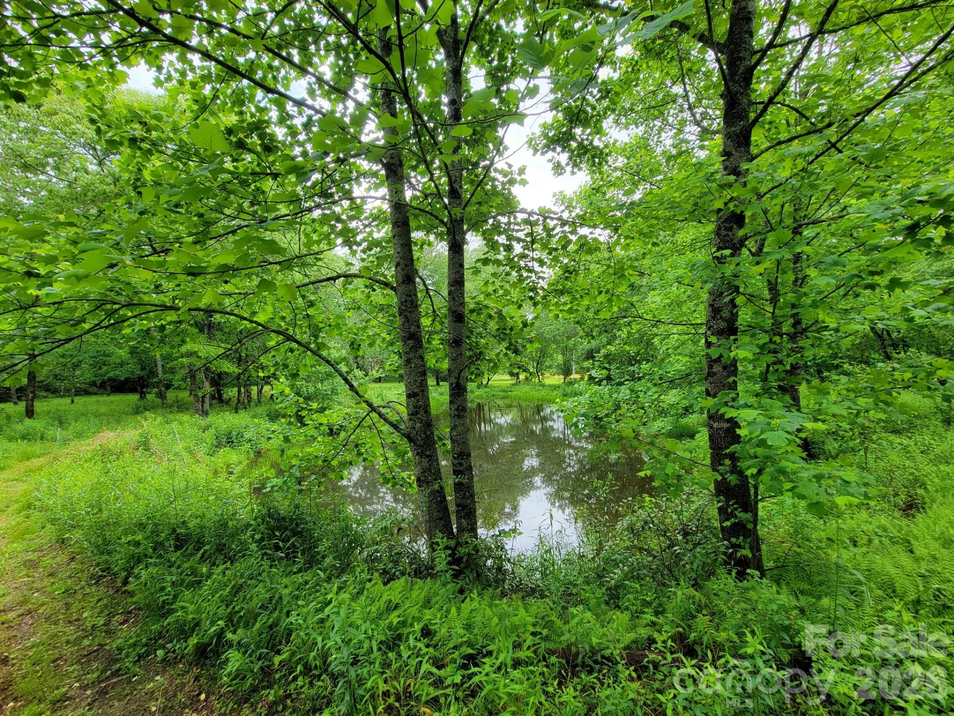 TBD Sweetwater Ridge Road #1 - Photo 21
