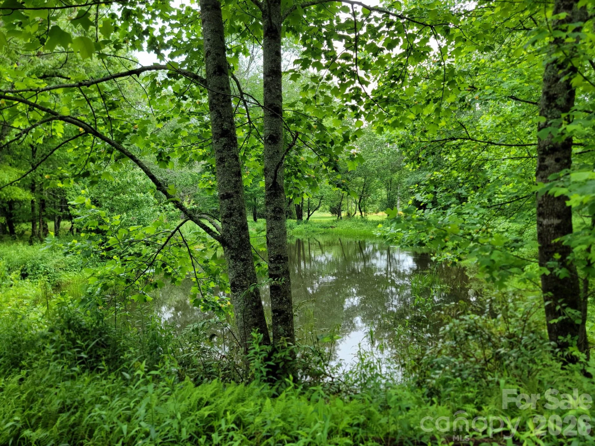 TBD Sweetwater Ridge Road #1 - Photo 22