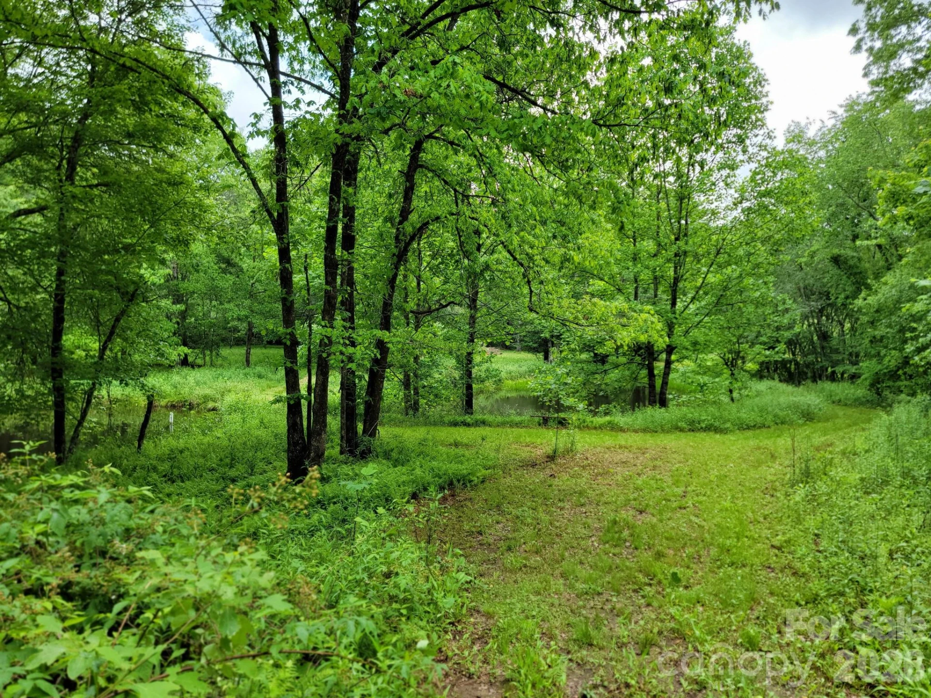 TBD Sweetwater Ridge Road #1 - Photo 23