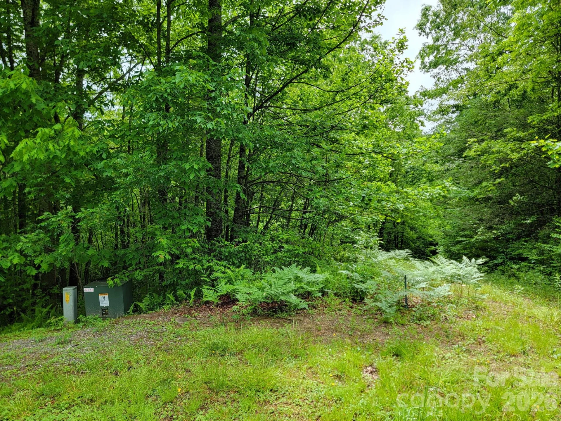 TBD Sweetwater Ridge Road #1 - Photo 24
