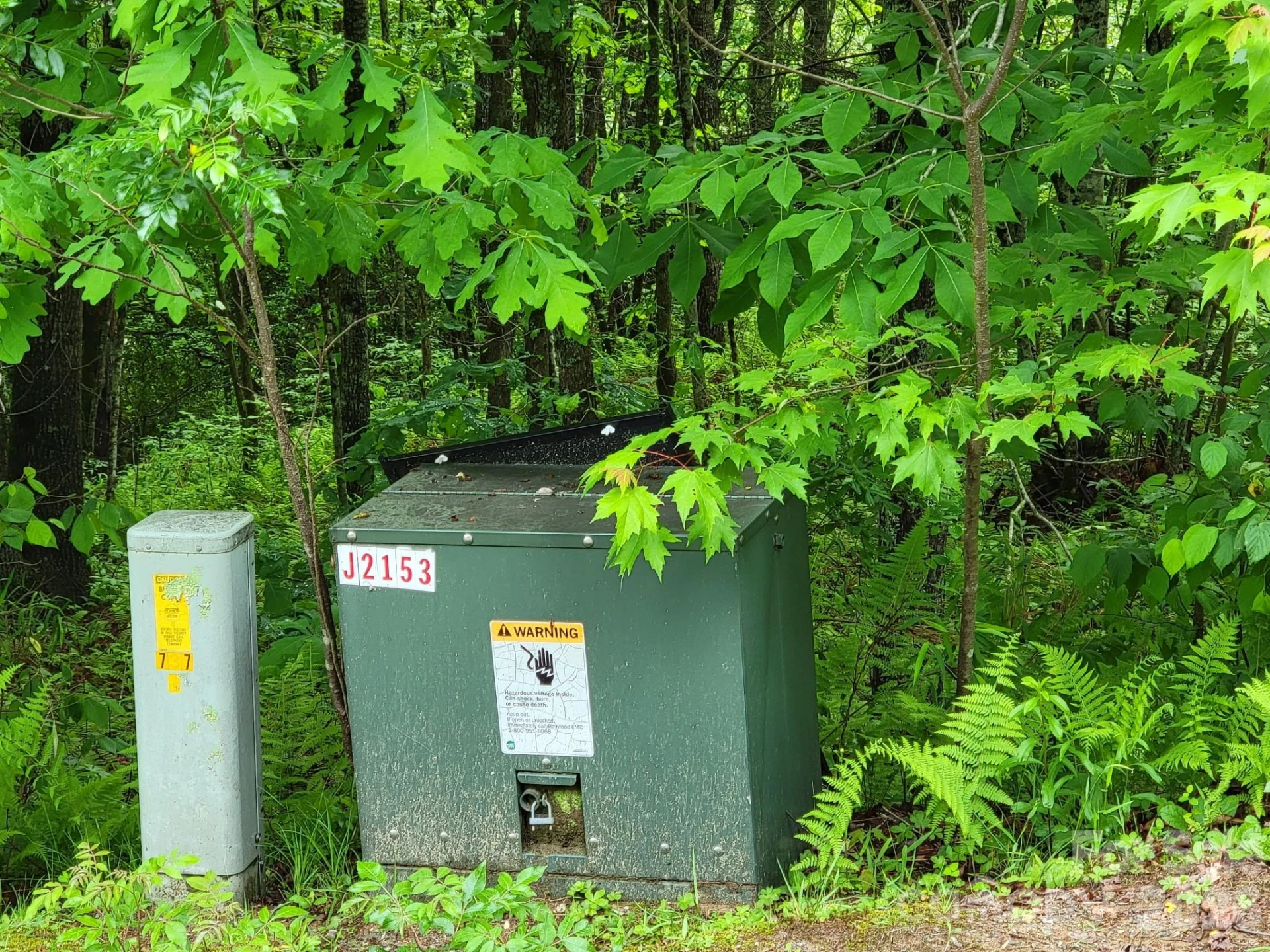 TBD Sweetwater Ridge Road #1 - Photo 4