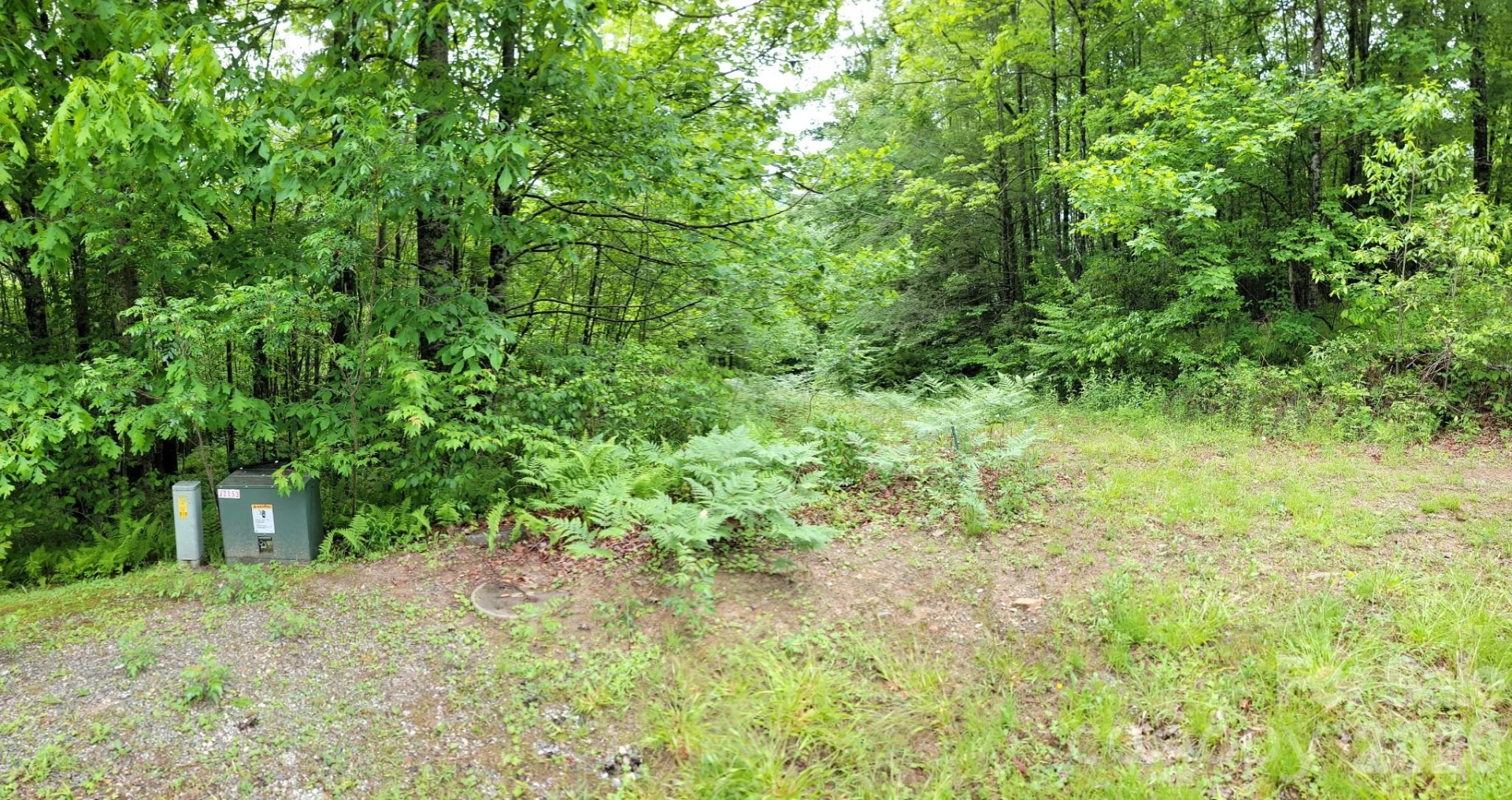 TBD Sweetwater Ridge Road #1 - Photo 5