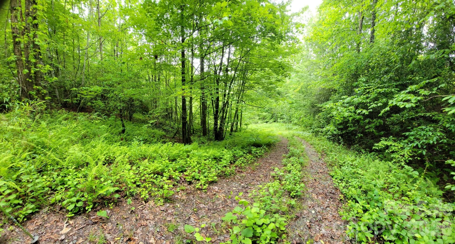 TBD Sweetwater Ridge Road #1 - Photo 7