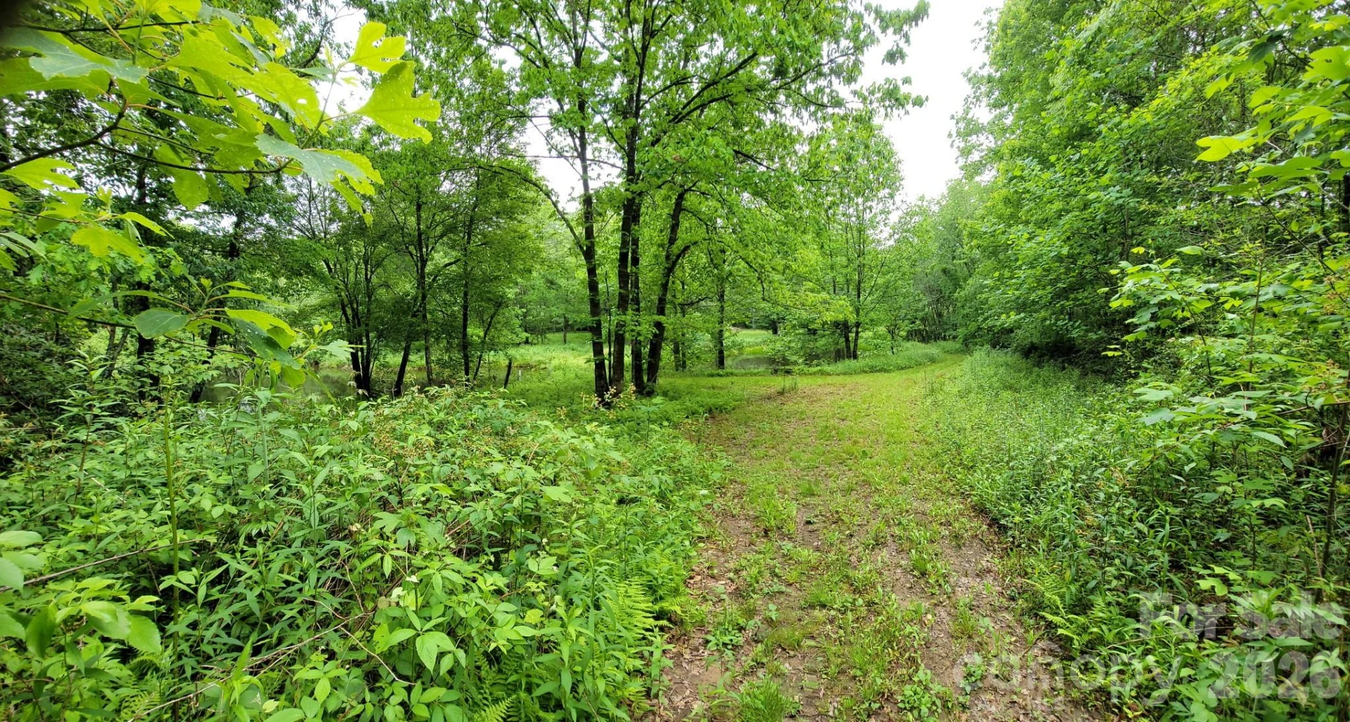 TBD Sweetwater Ridge Road #1 - Photo 8