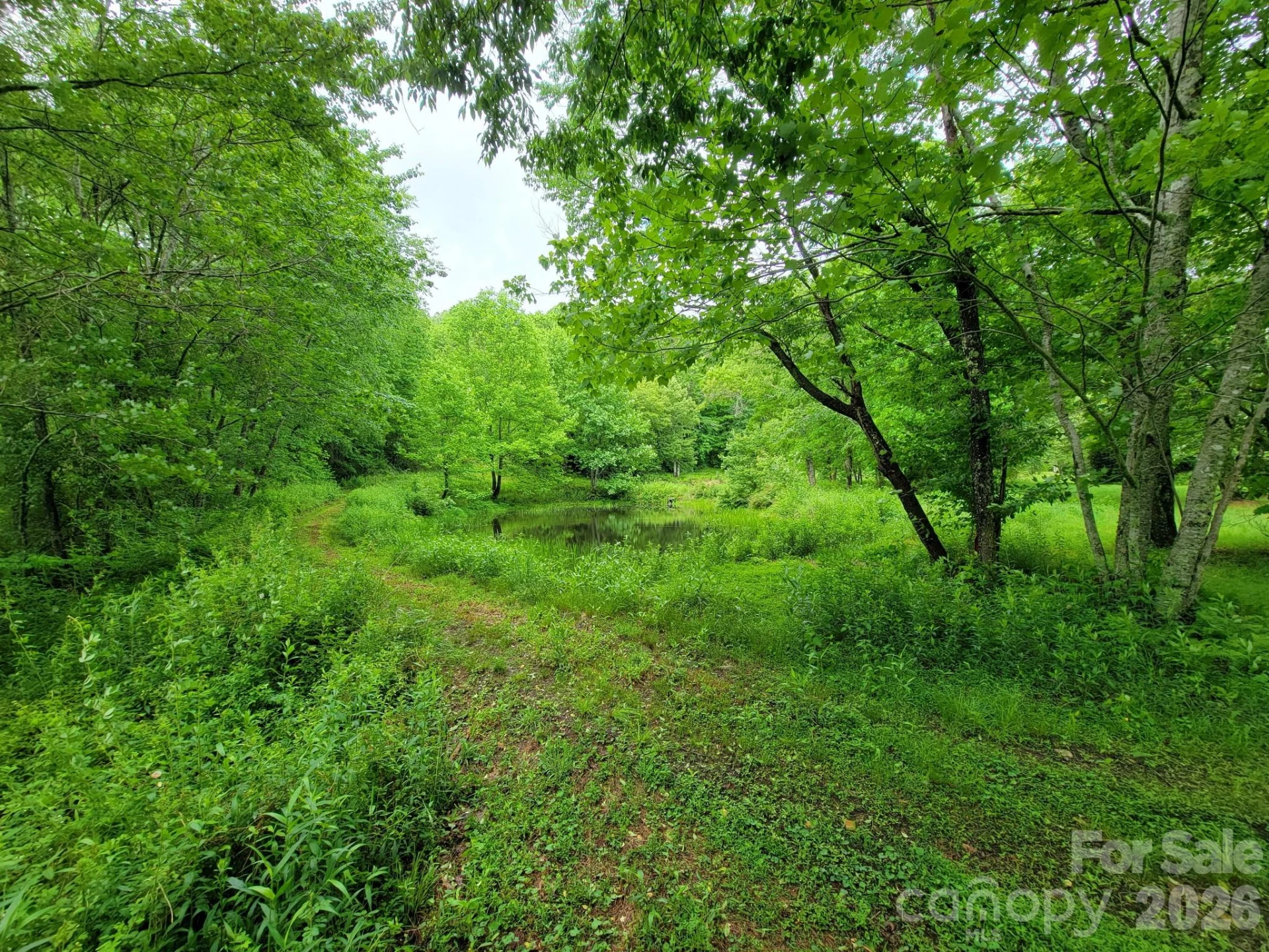 TBD Sweetwater Ridge Road #1 - Photo 9