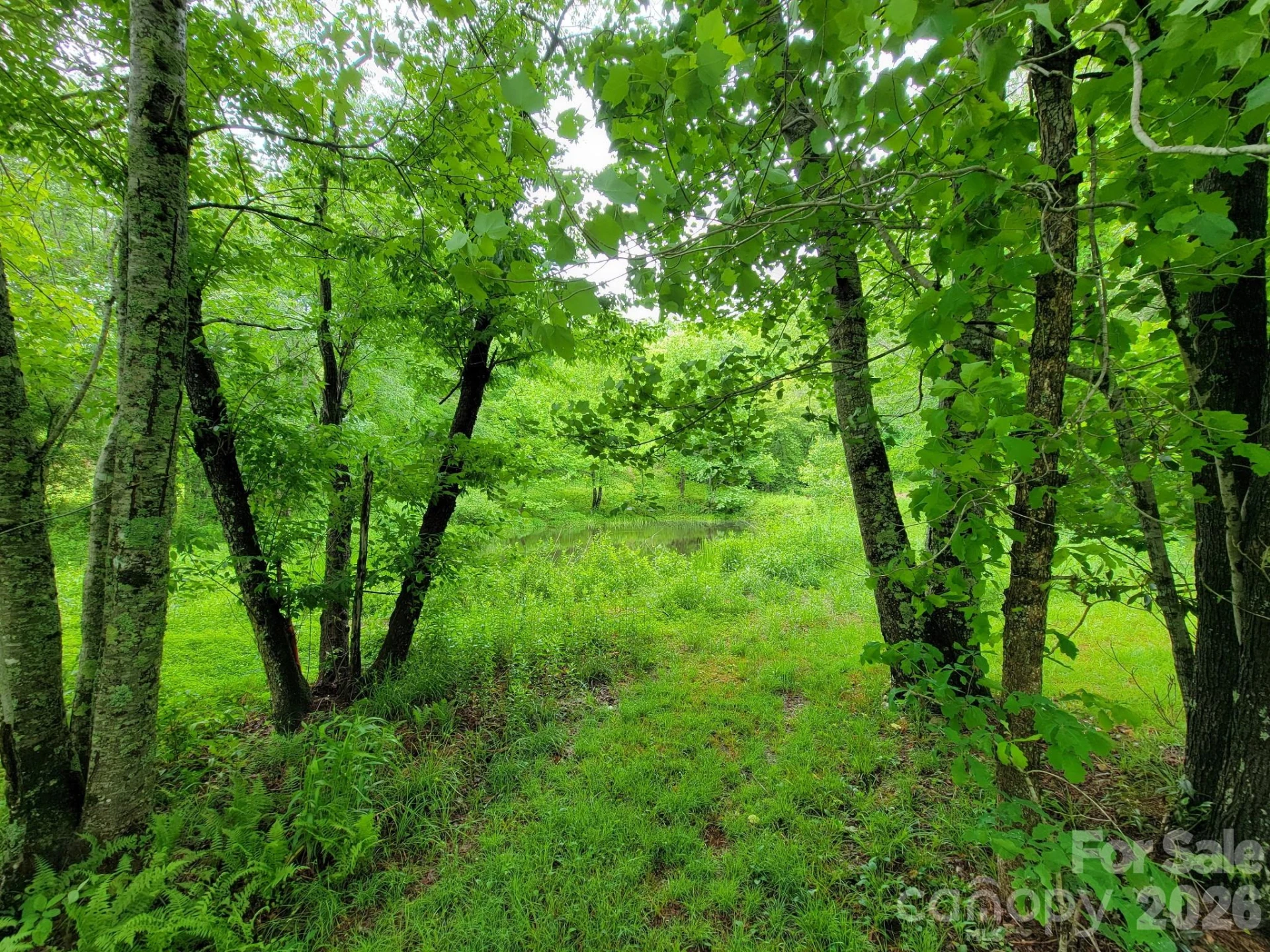TBD Sweetwater Ridge Road #1 - Photo 10