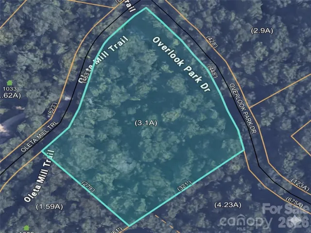 1034 Oleta Mill Trail, Hendersonville, NC, 28792