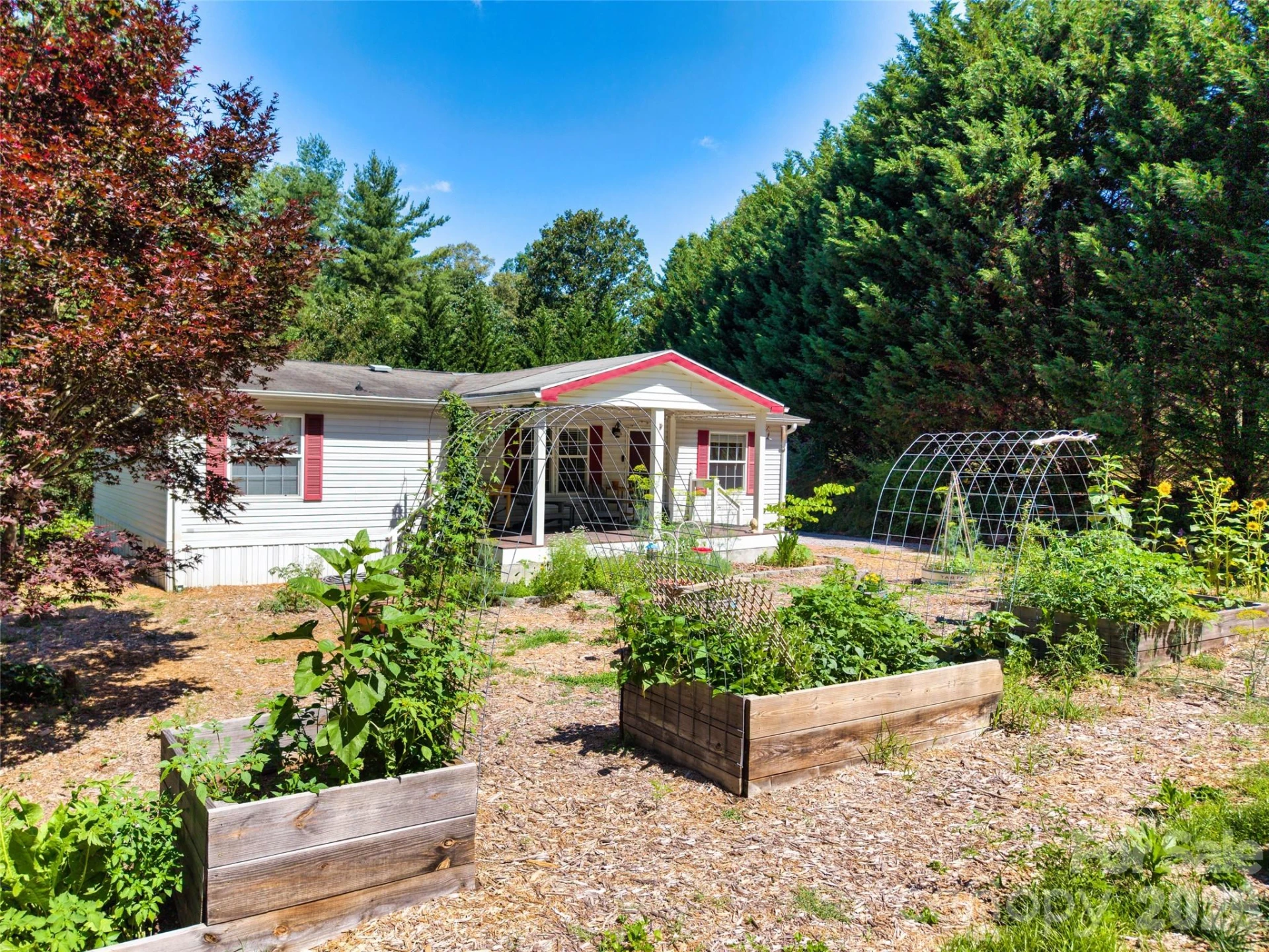 435 McMinn Road - Photo 2