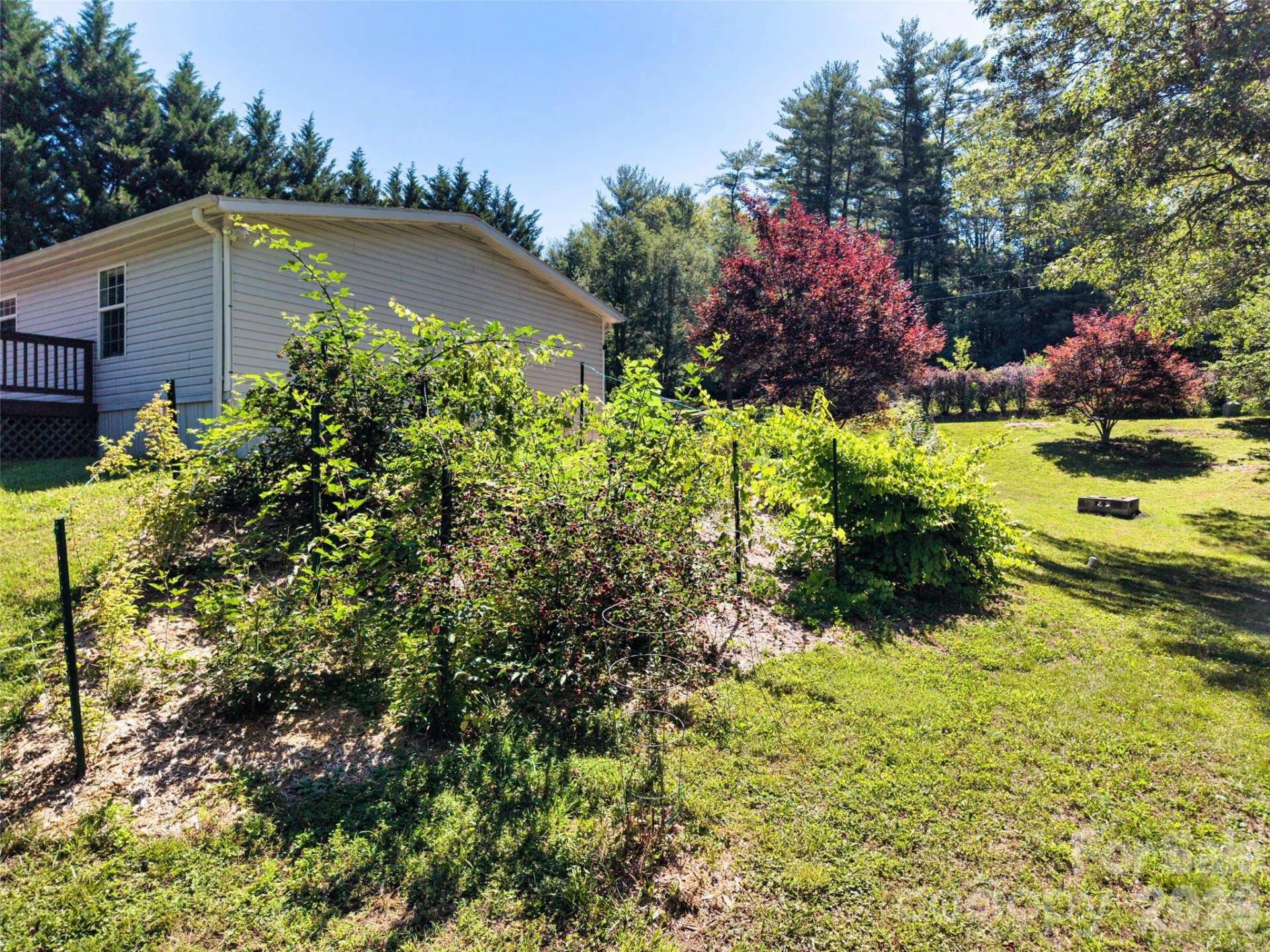 435 McMinn Road - Photo 30