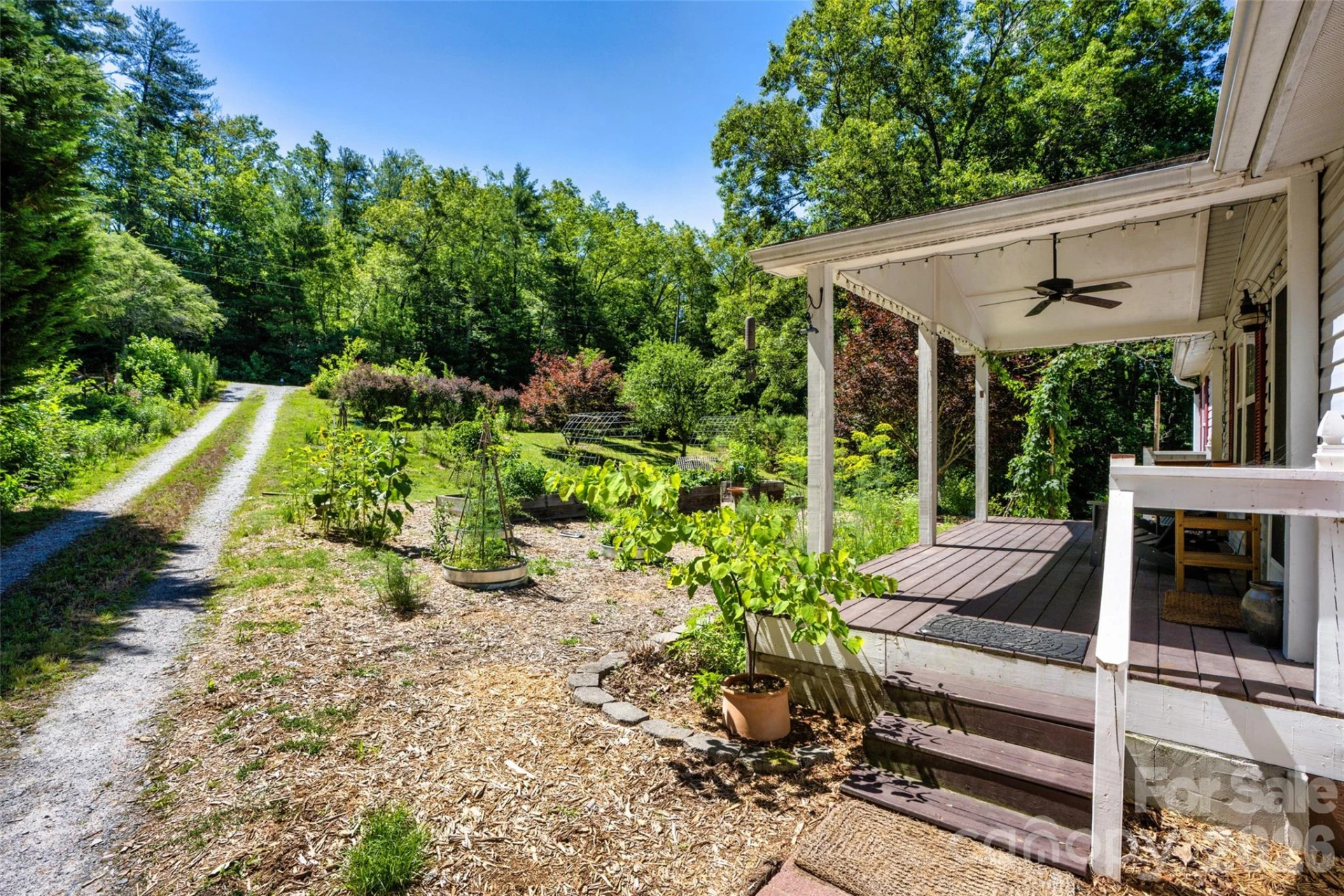 435 McMinn Road - Photo 4