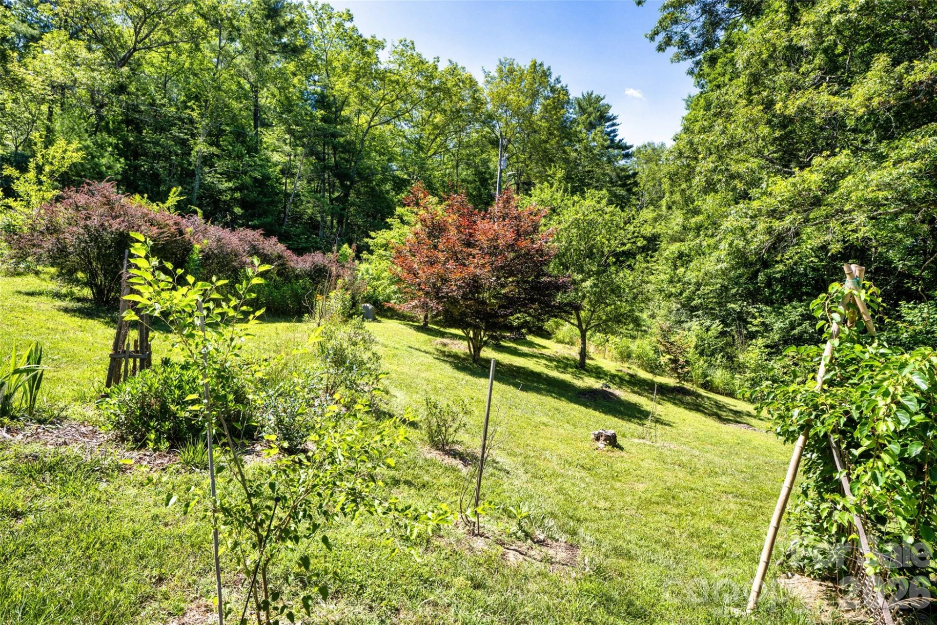 435 McMinn Road - Photo 37