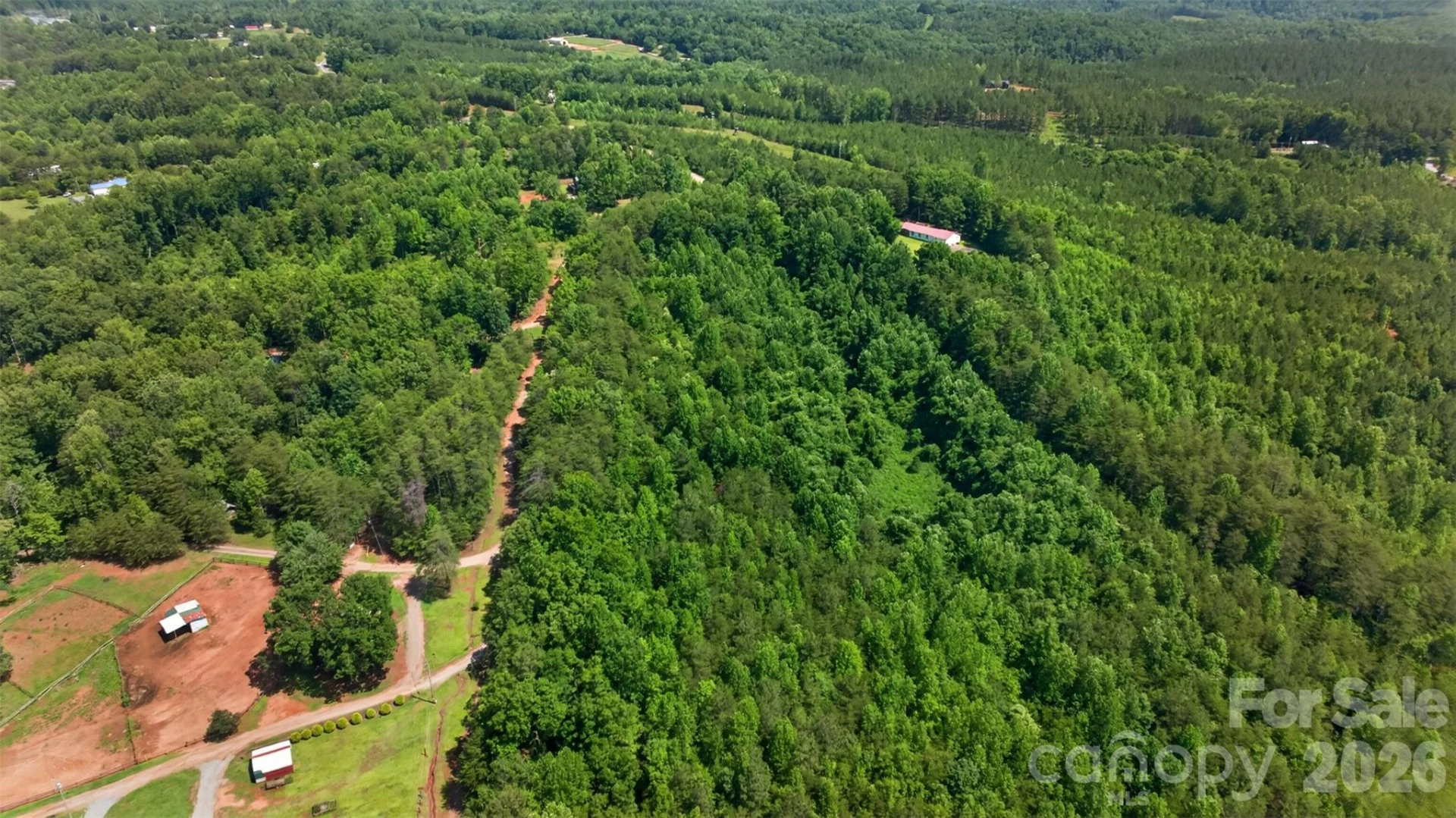 66 Misery Ridge None - Photo 15