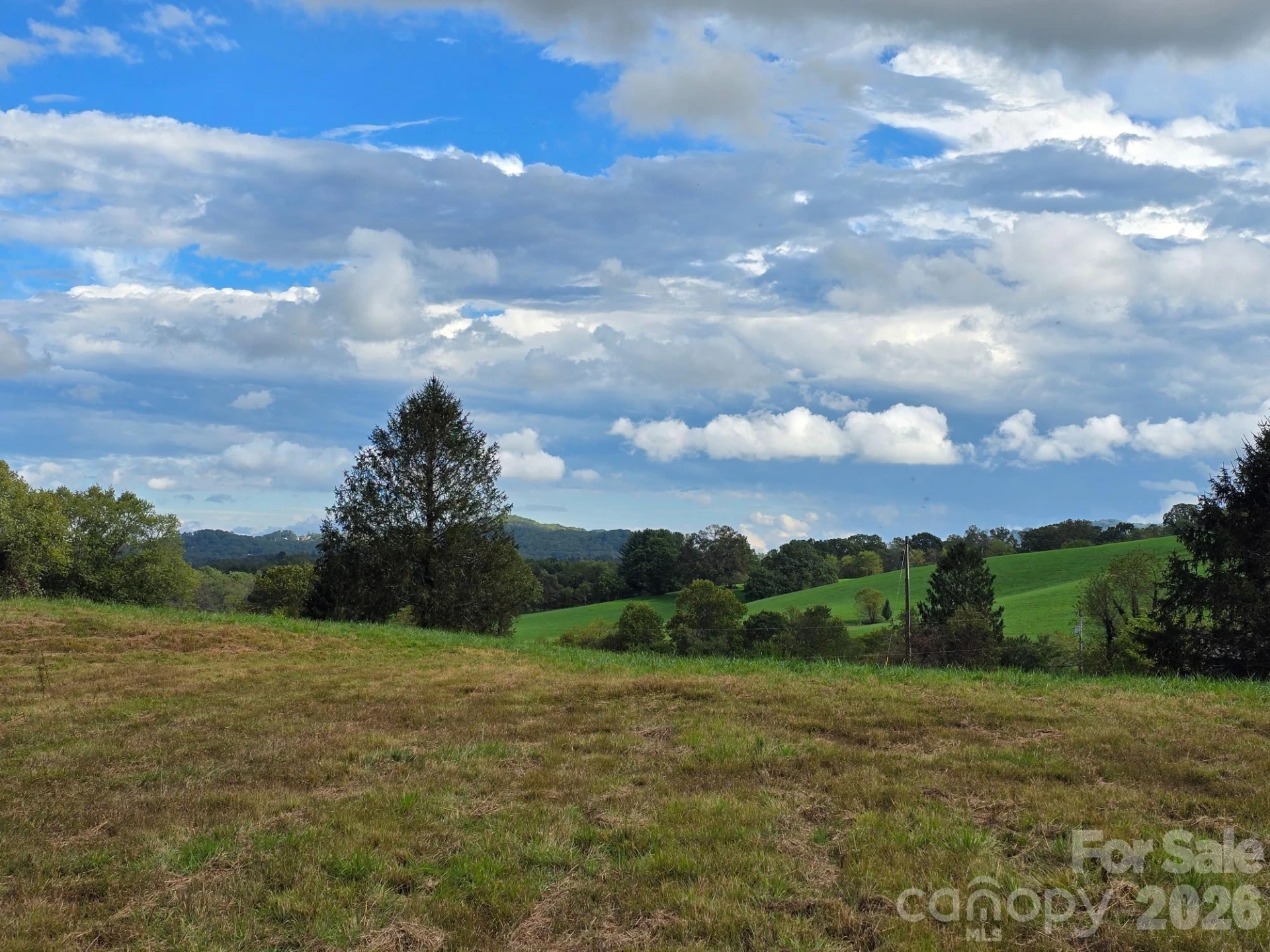 128 Cook Lane #(25 Acres) - Photo 25