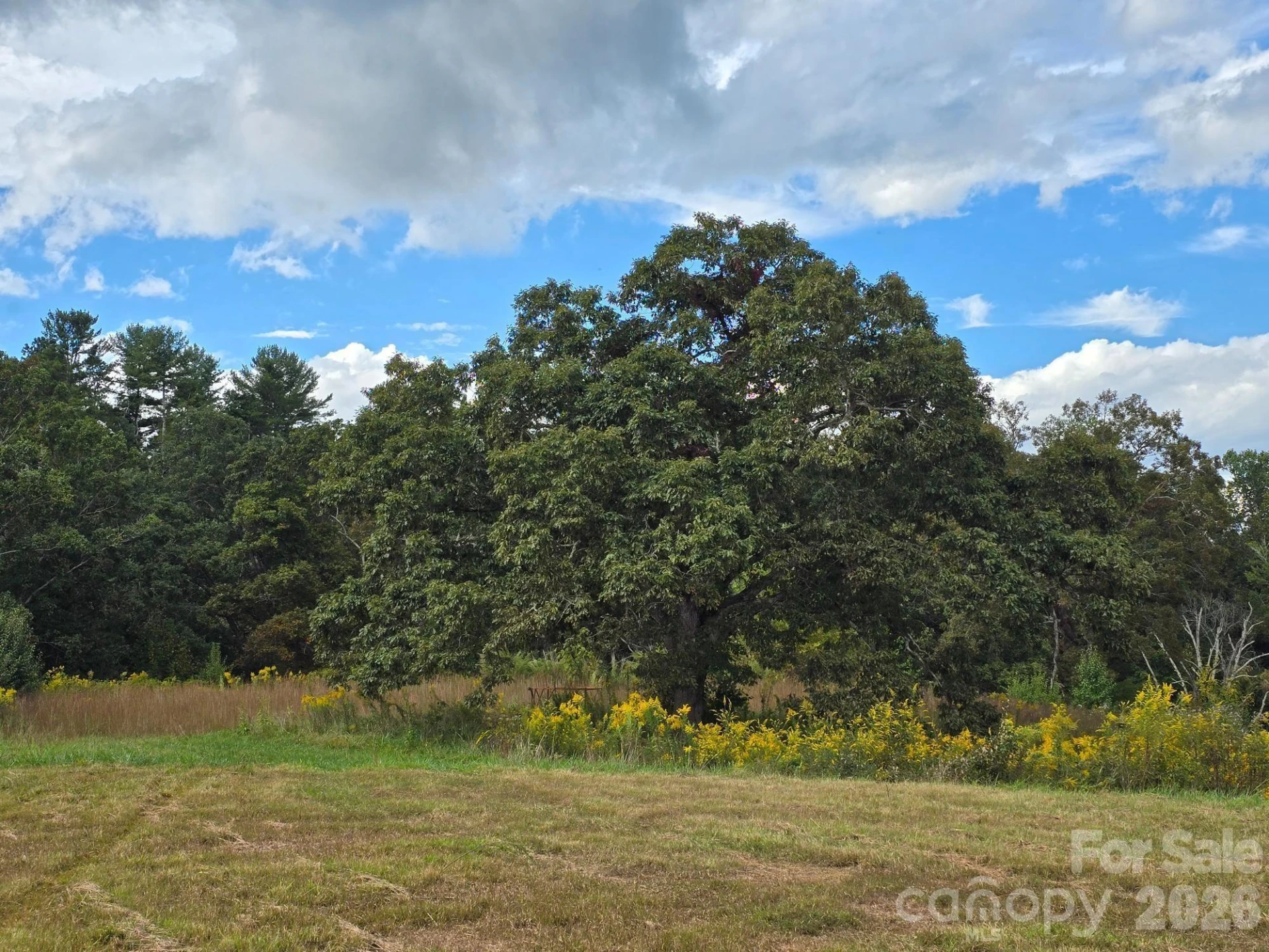 128 Cook Lane #(25 Acres) - Photo 30