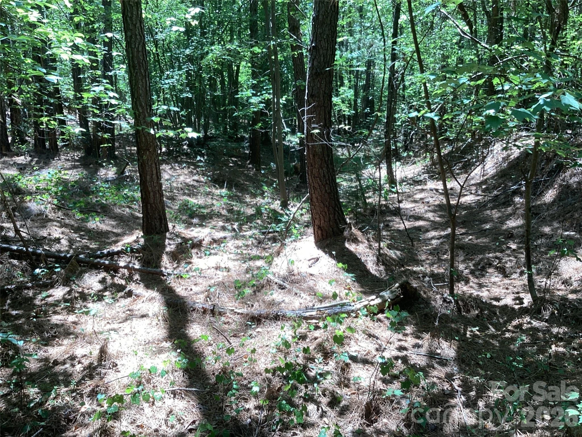 00 Powell Road - Photo 11