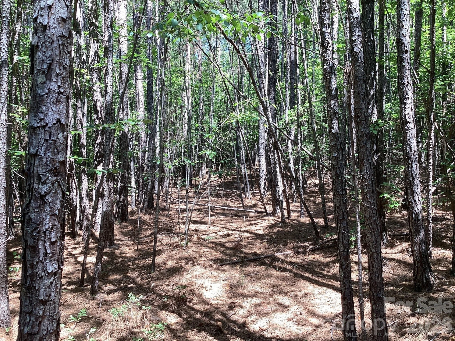 00 Powell Road - Photo 12