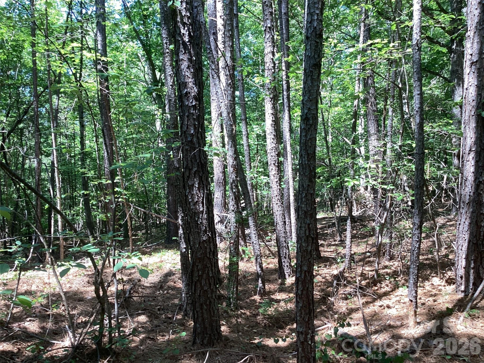 00 Powell Road - Photo 13