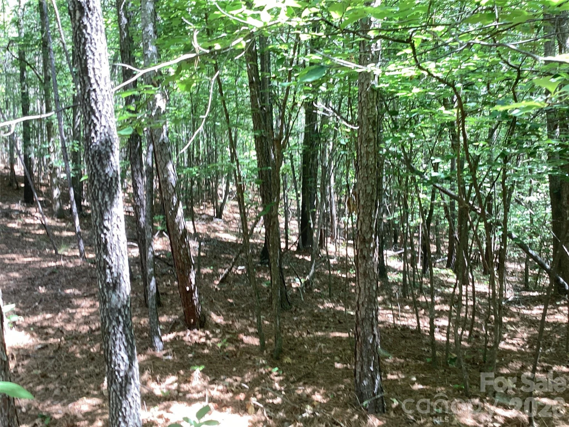00 Powell Road - Photo 14