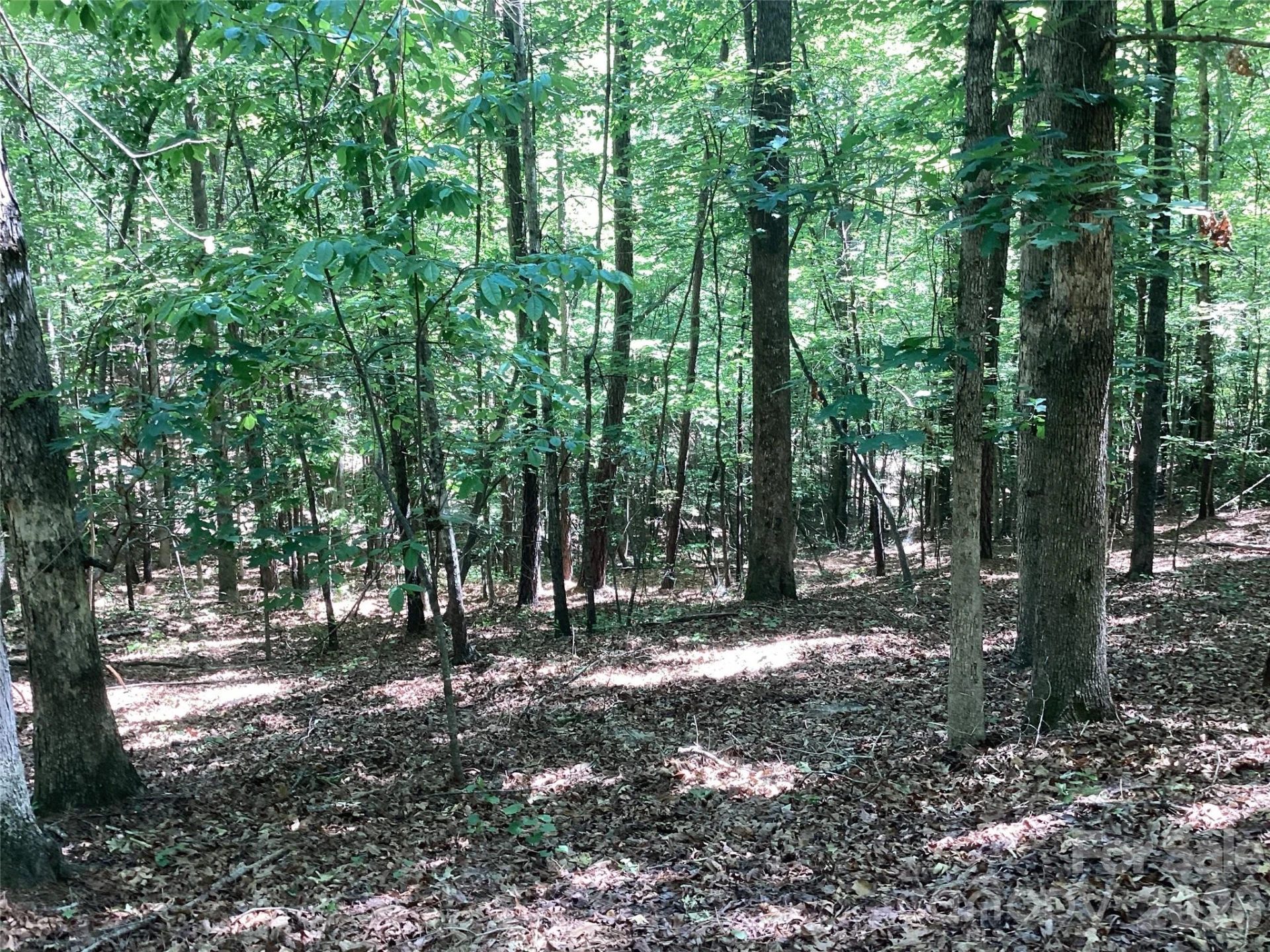 00 Powell Road - Photo 16