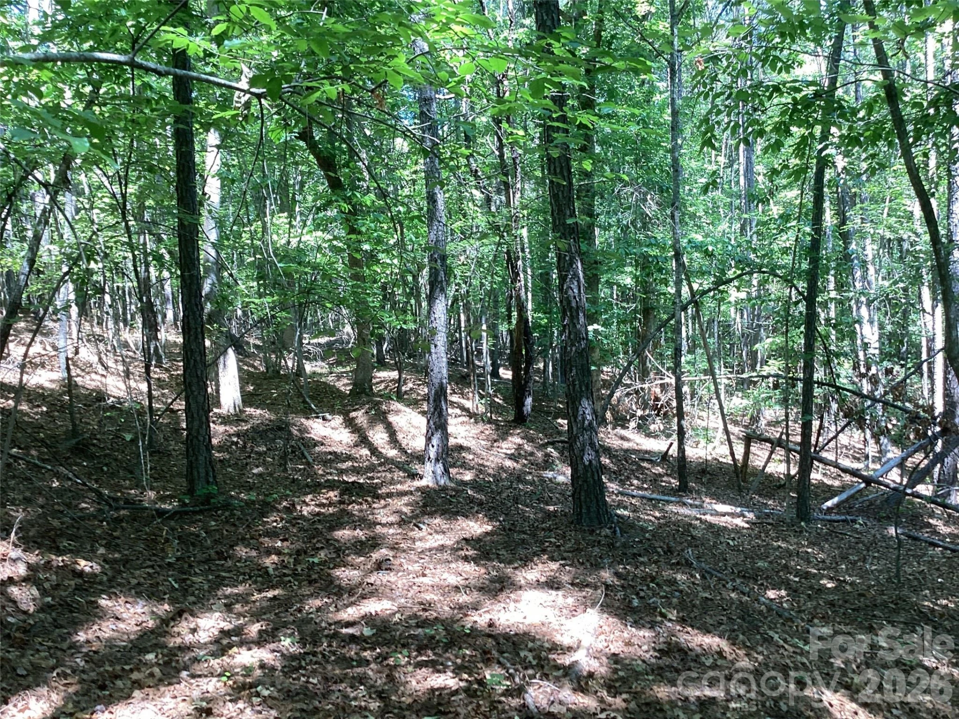 00 Powell Road - Photo 17
