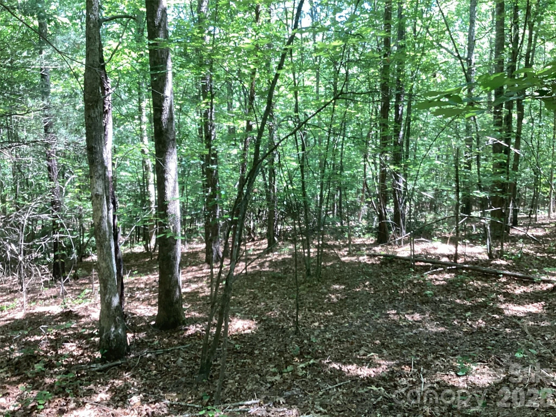 00 Powell Road - Photo 18