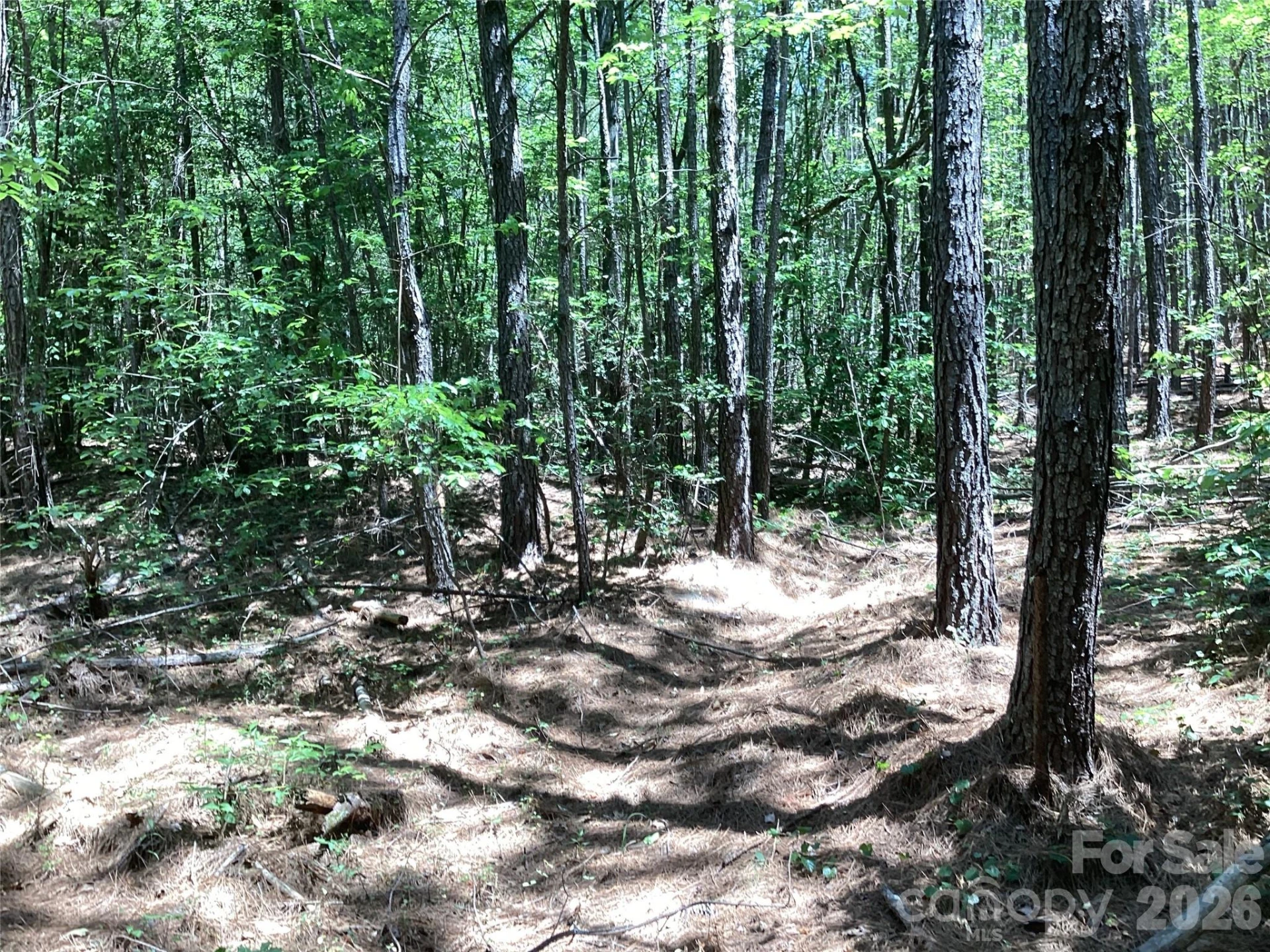 00 Powell Road - Photo 19