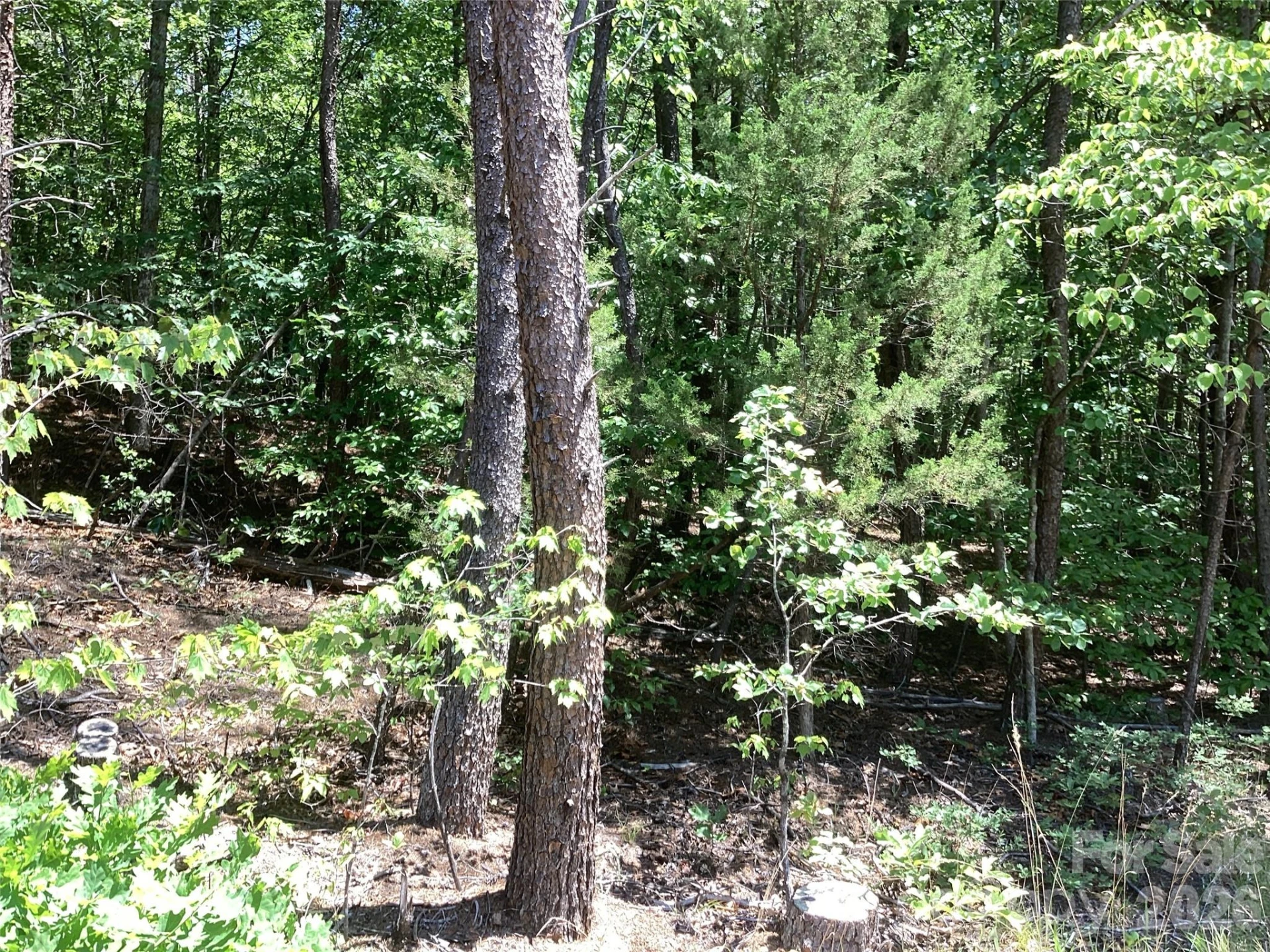 00 Powell Road - Photo 20