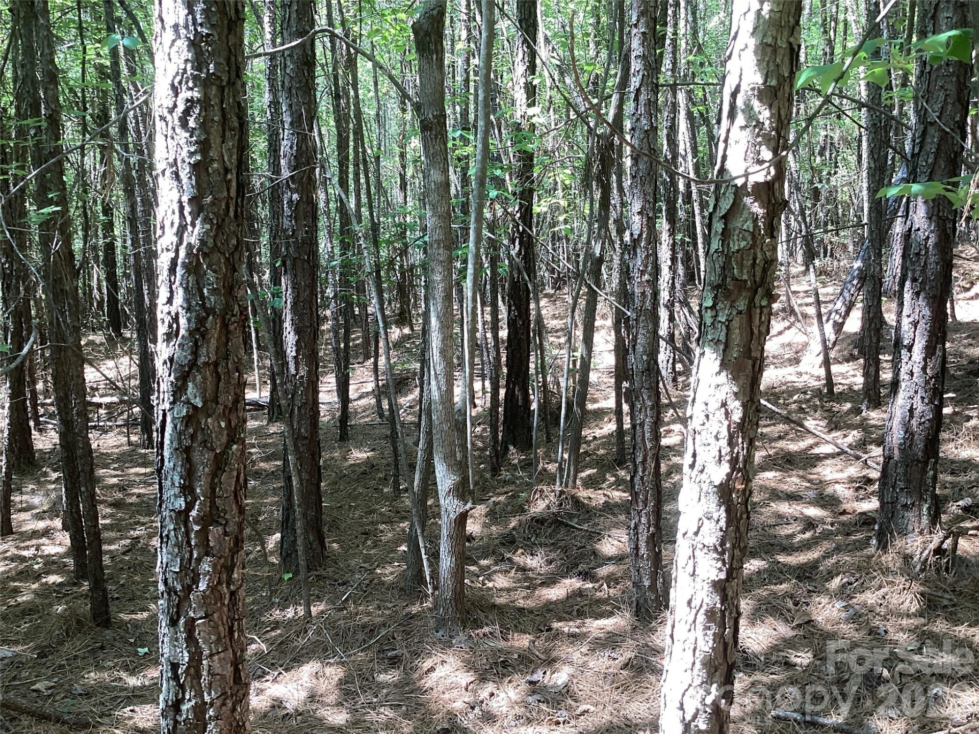 00 Powell Road - Photo 4