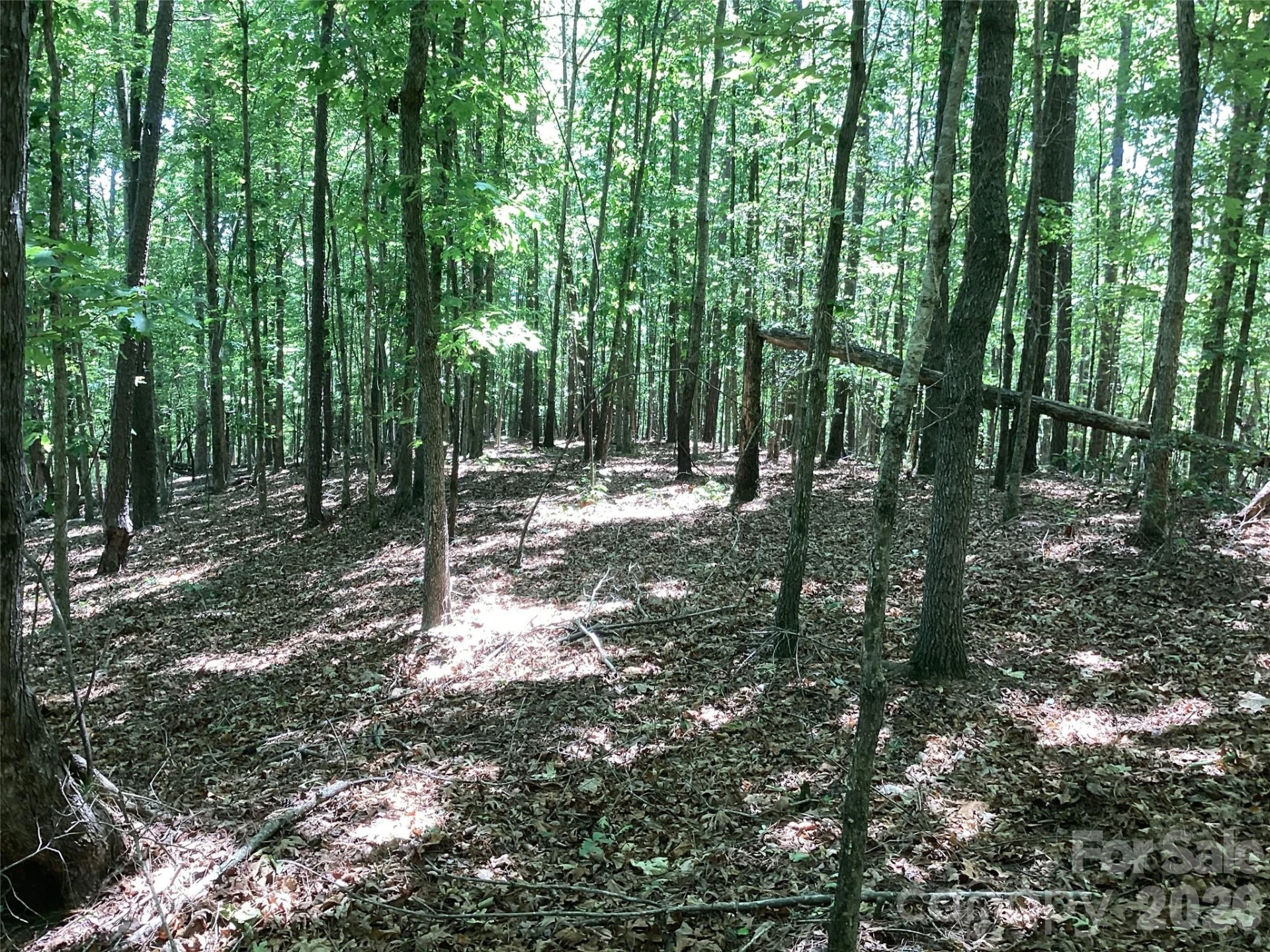 00 Powell Road - Photo 6
