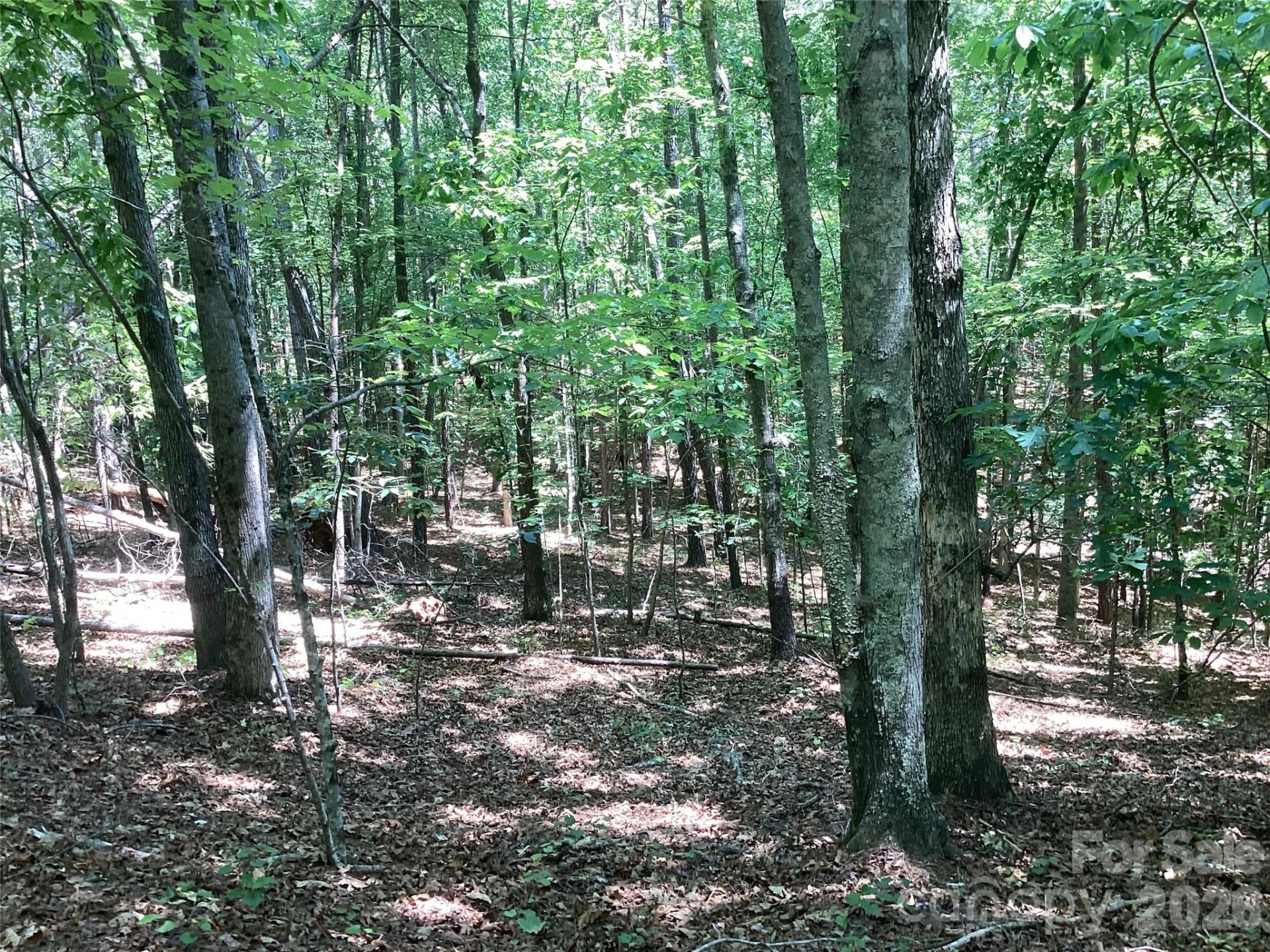 00 Powell Road - Photo 7