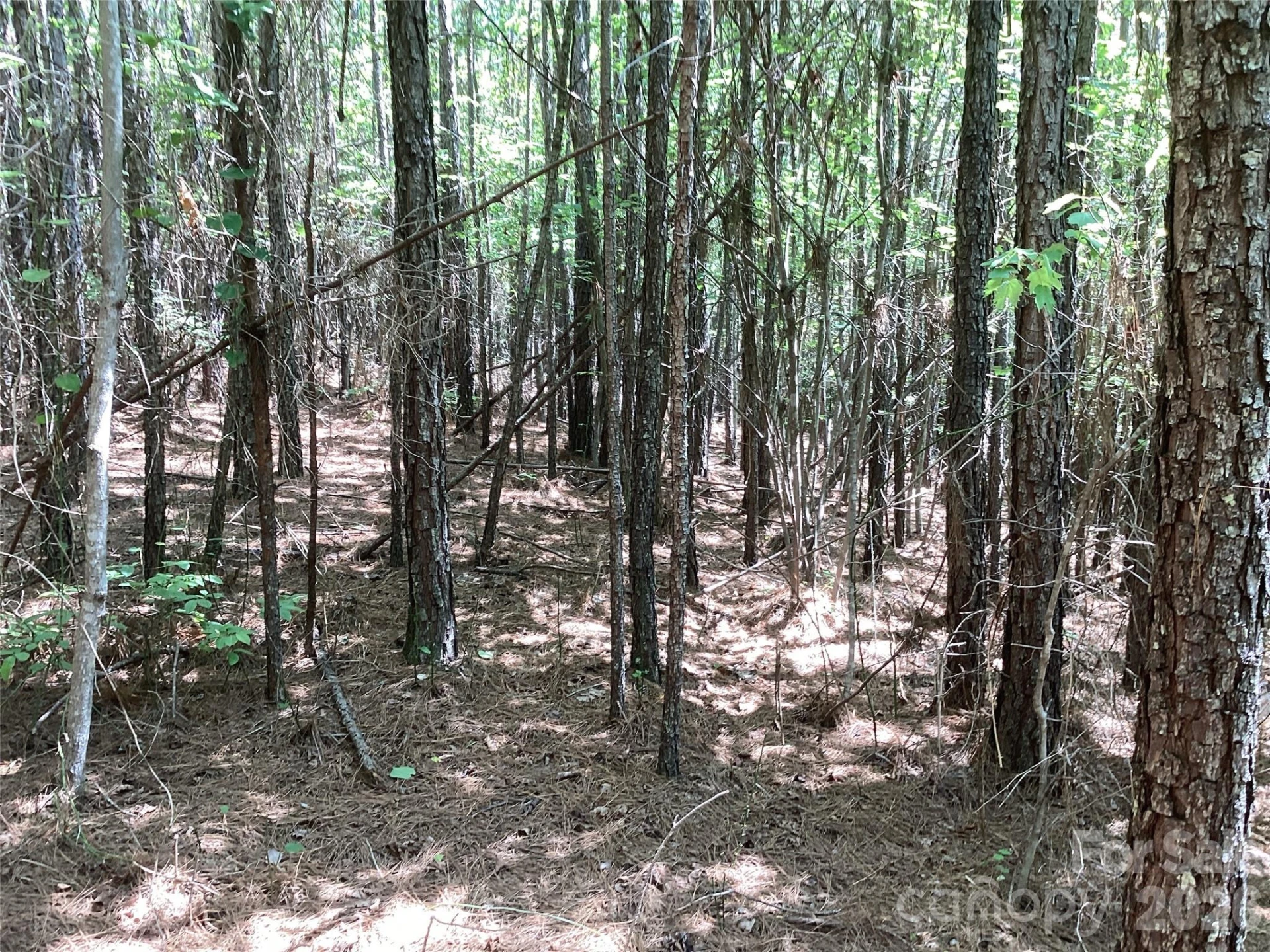 00 Powell Road - Photo 10