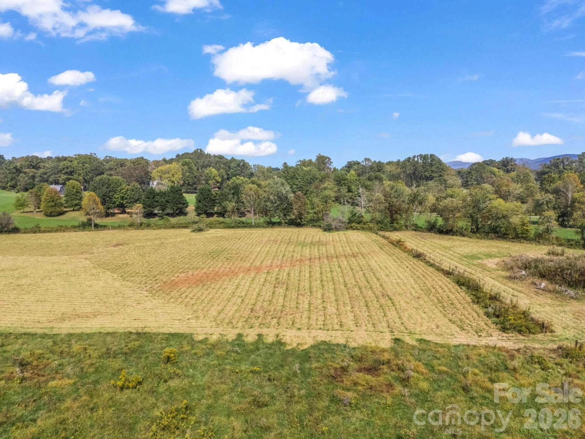 000 Cook Lane #24.87 Acres - Photo 15