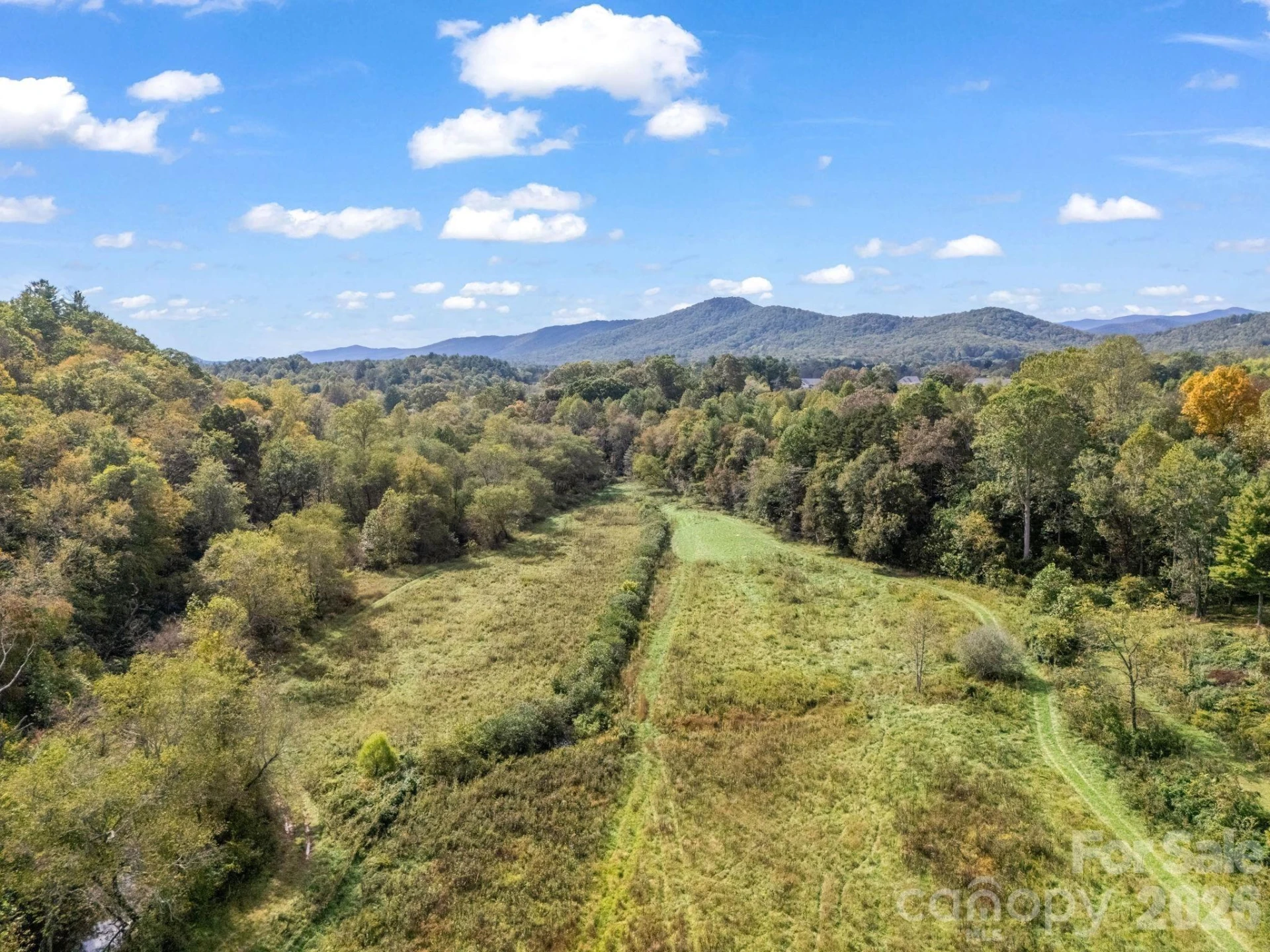 000 Cook Lane #24.87 Acres - Photo 17
