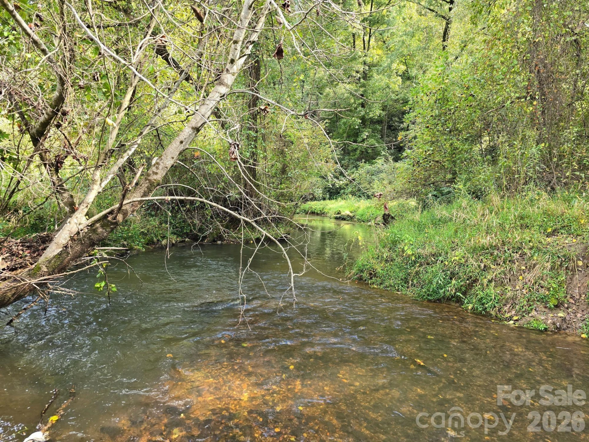 000 Cook Lane #24.87 Acres - Photo 7