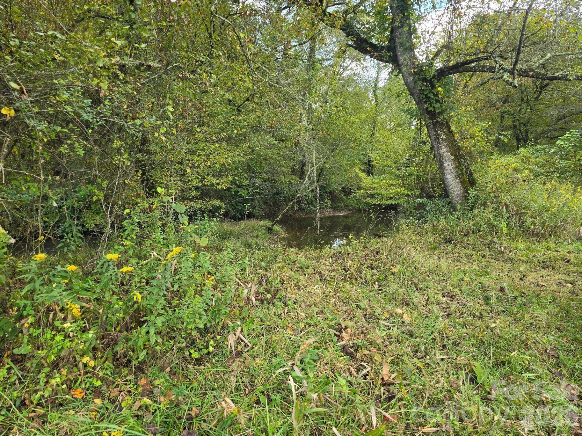 000 Cook Lane #24.87 Acres - Photo 8