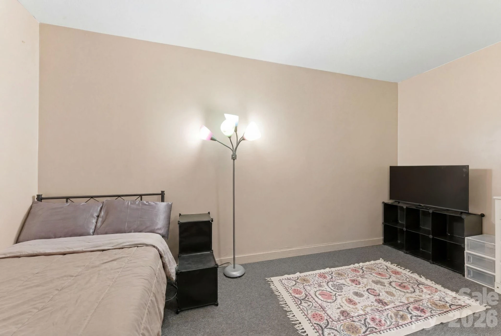 429 Biodome Drive - Photo 33