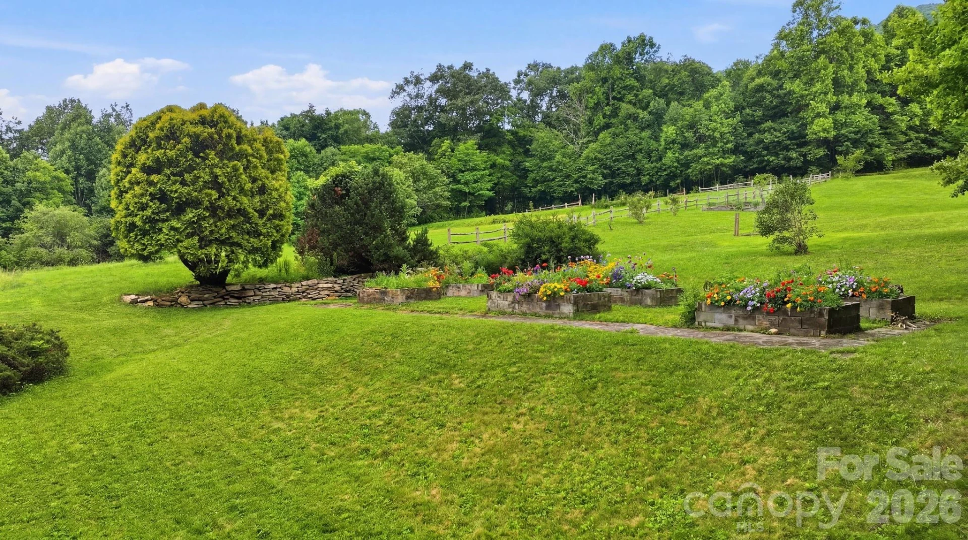 429 Biodome Drive - Photo 6